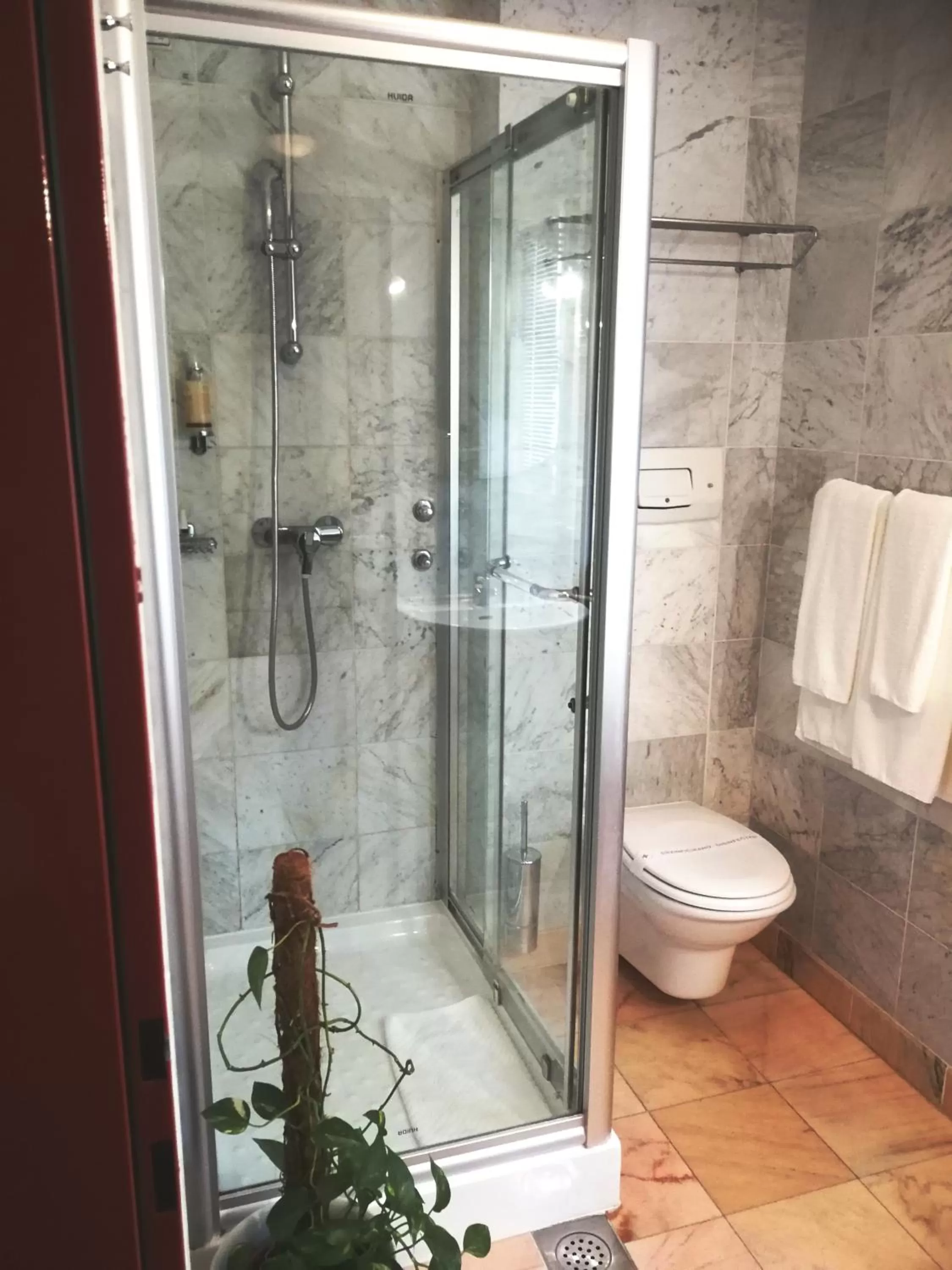 Shower in Hotel Phoenix