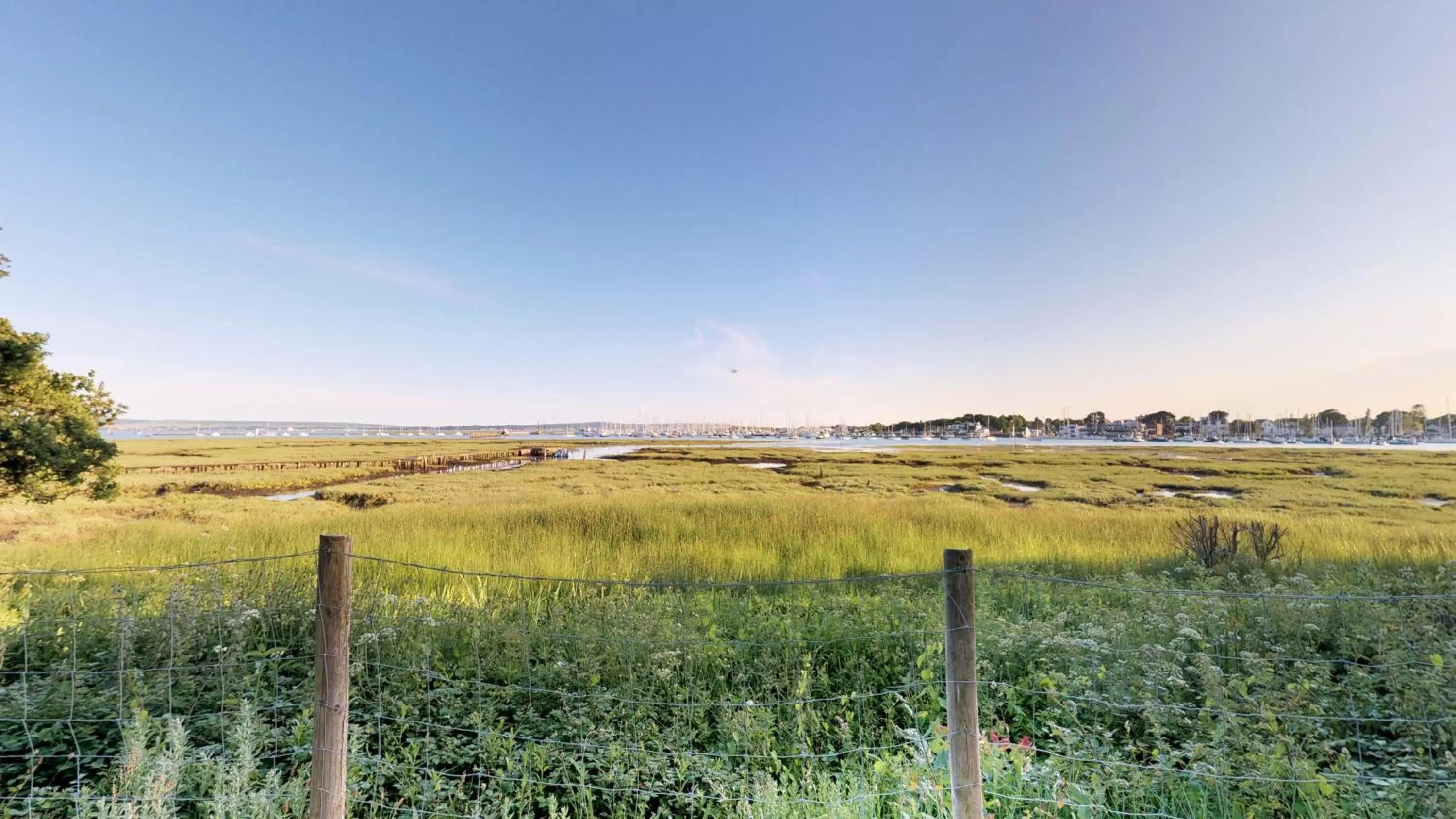 Natural landscape in Macdonald Elmers Court Resort