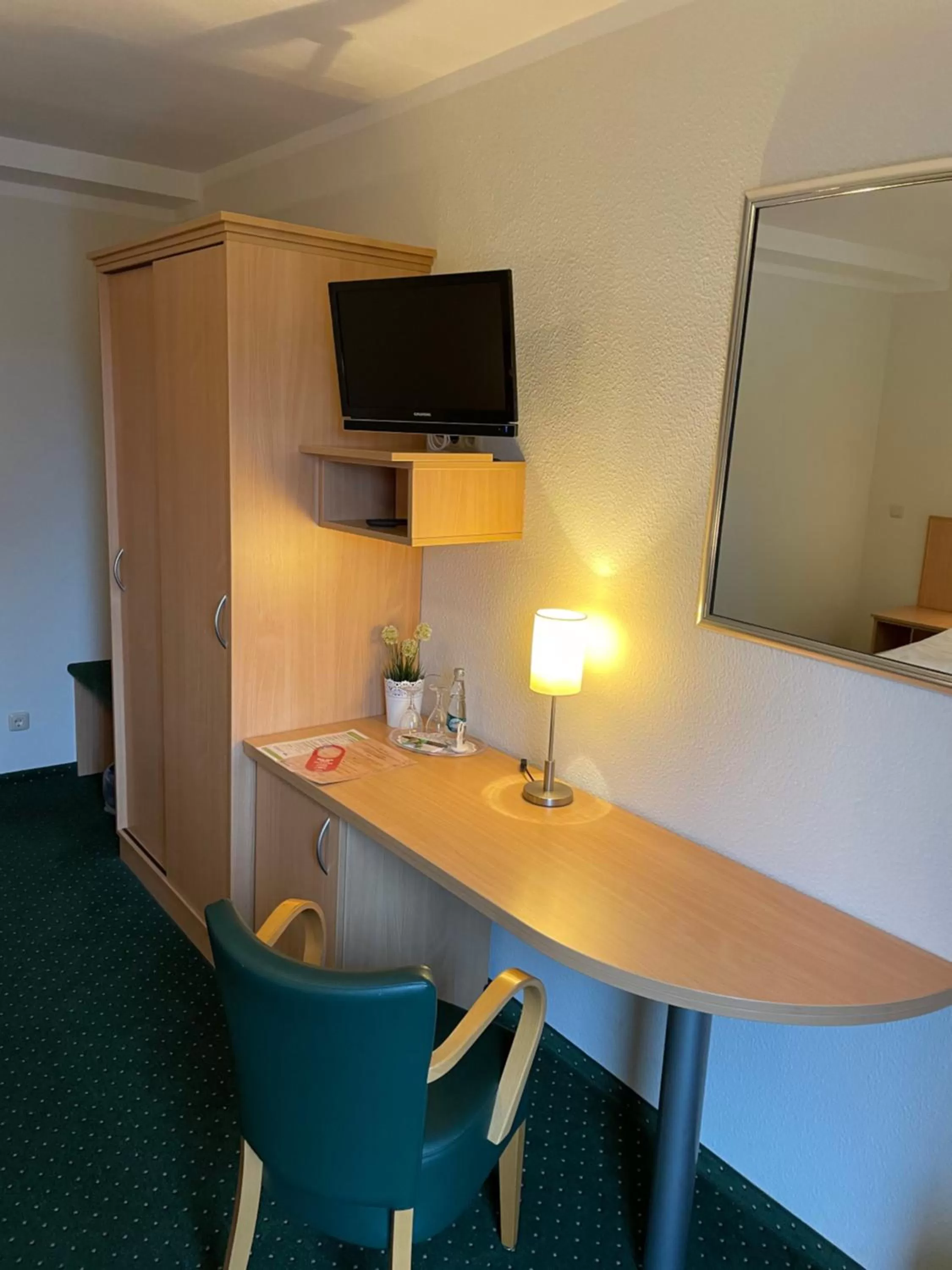 TV and multimedia in Gästehaus Scharfe Kurve