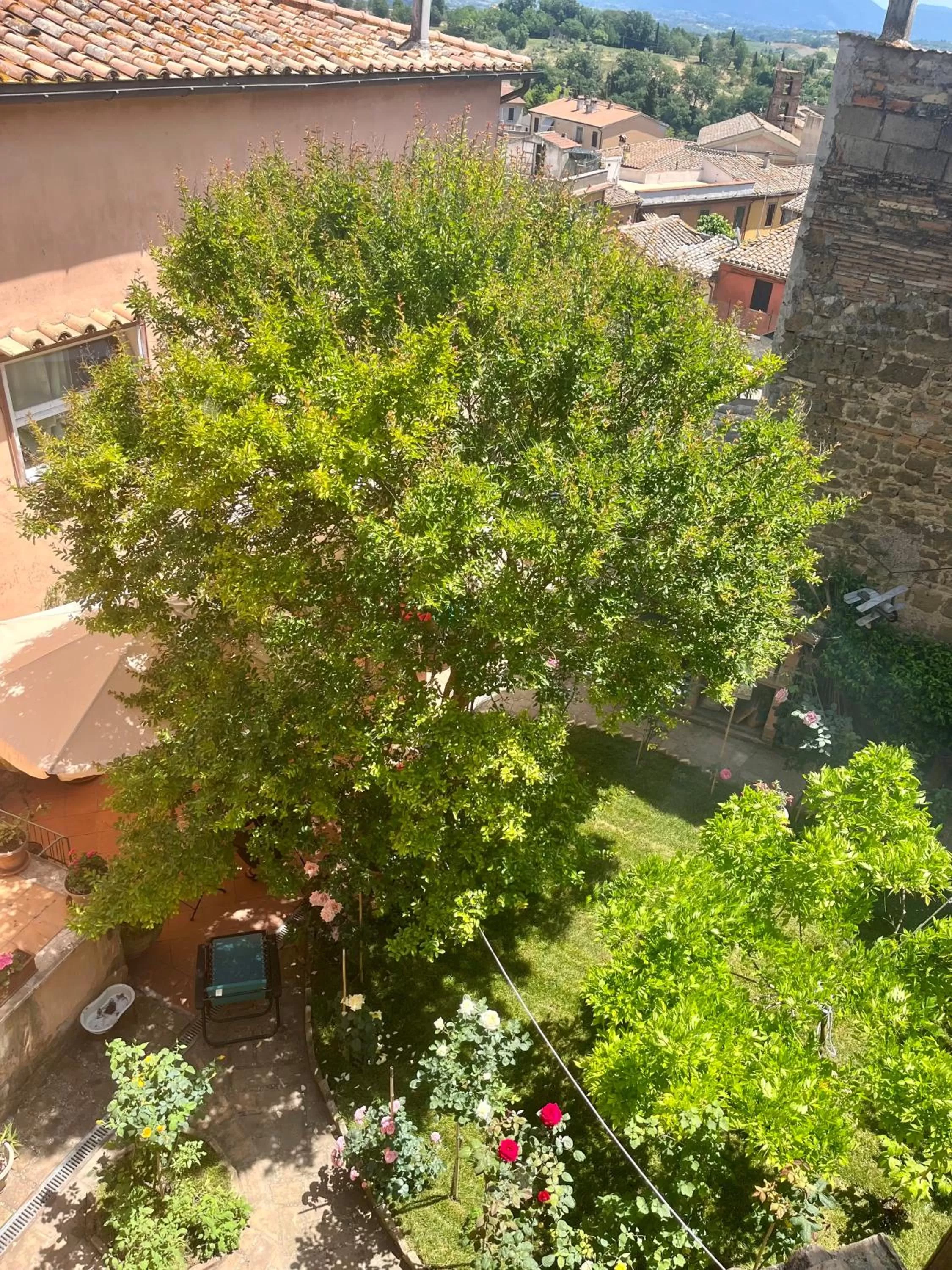 Patio in B&B 'Degli Artisti'