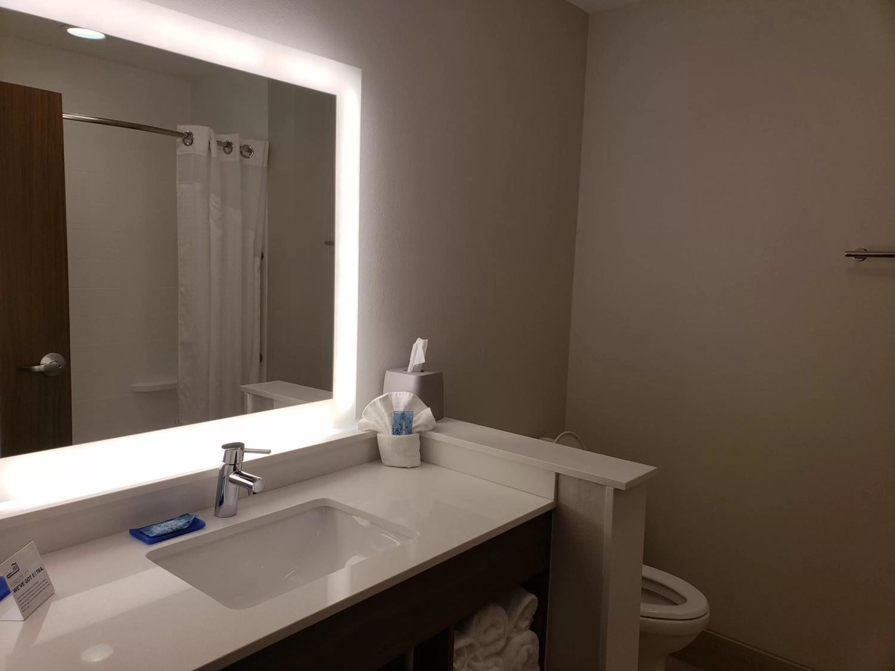 Bathroom in Holiday Inn Express & Suites - Brigham City - North Utah by IHG