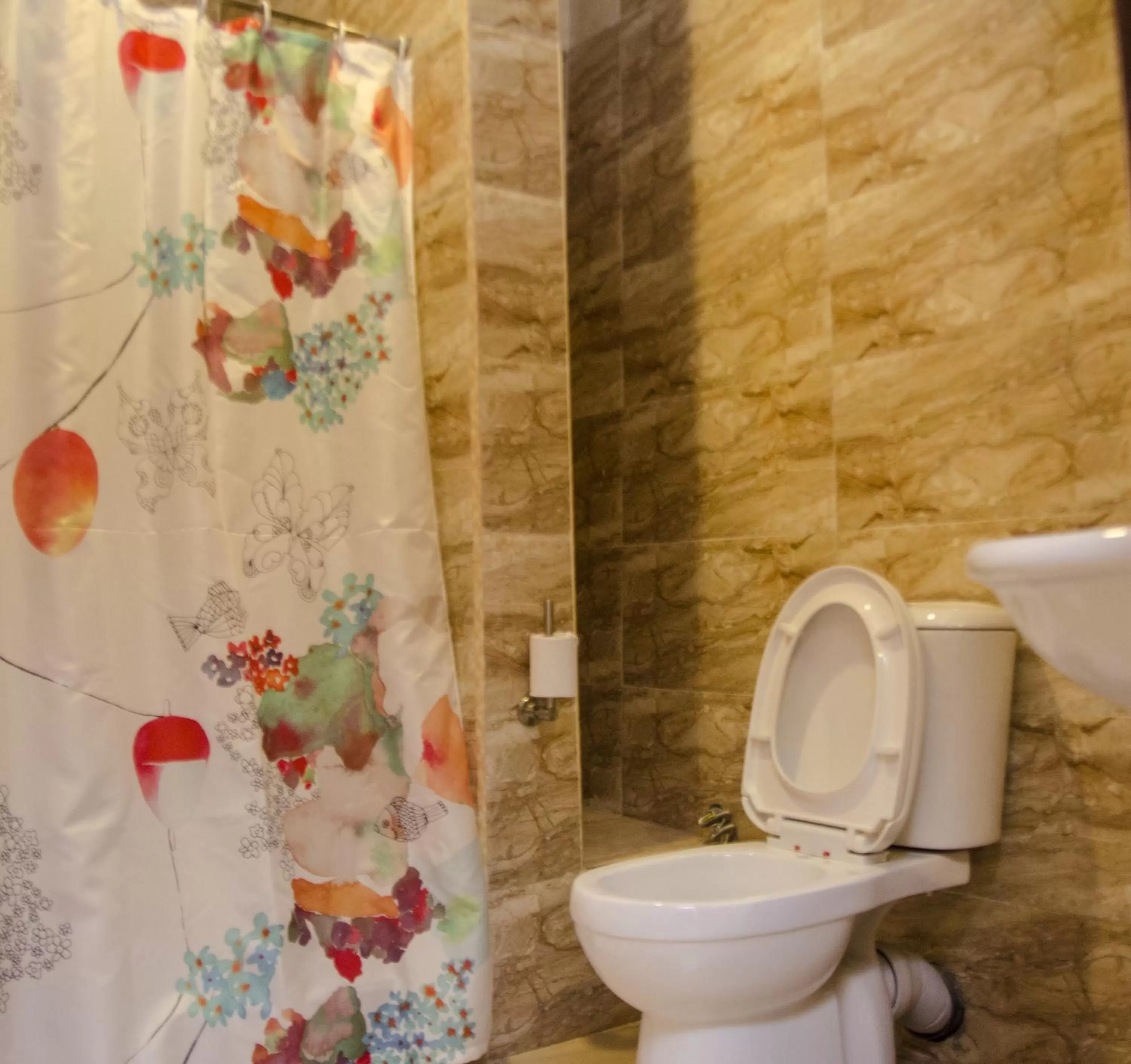 Shower in Hotel Rosebud