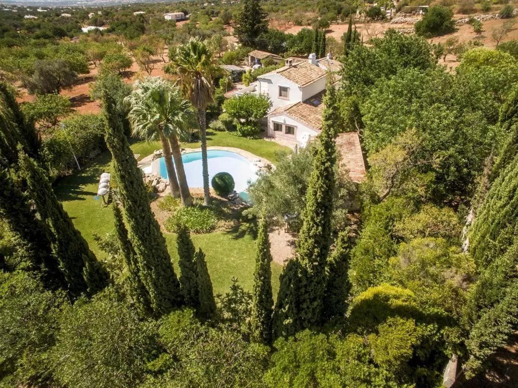 Bird's eye view, Bird's-eye View in Casa Belaventura