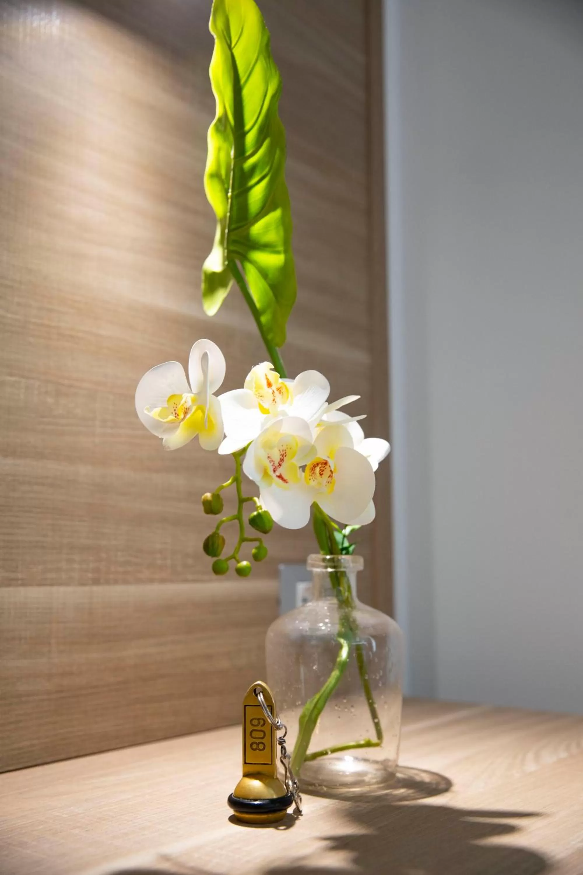 Photo of the whole room in Pegasus Hotel