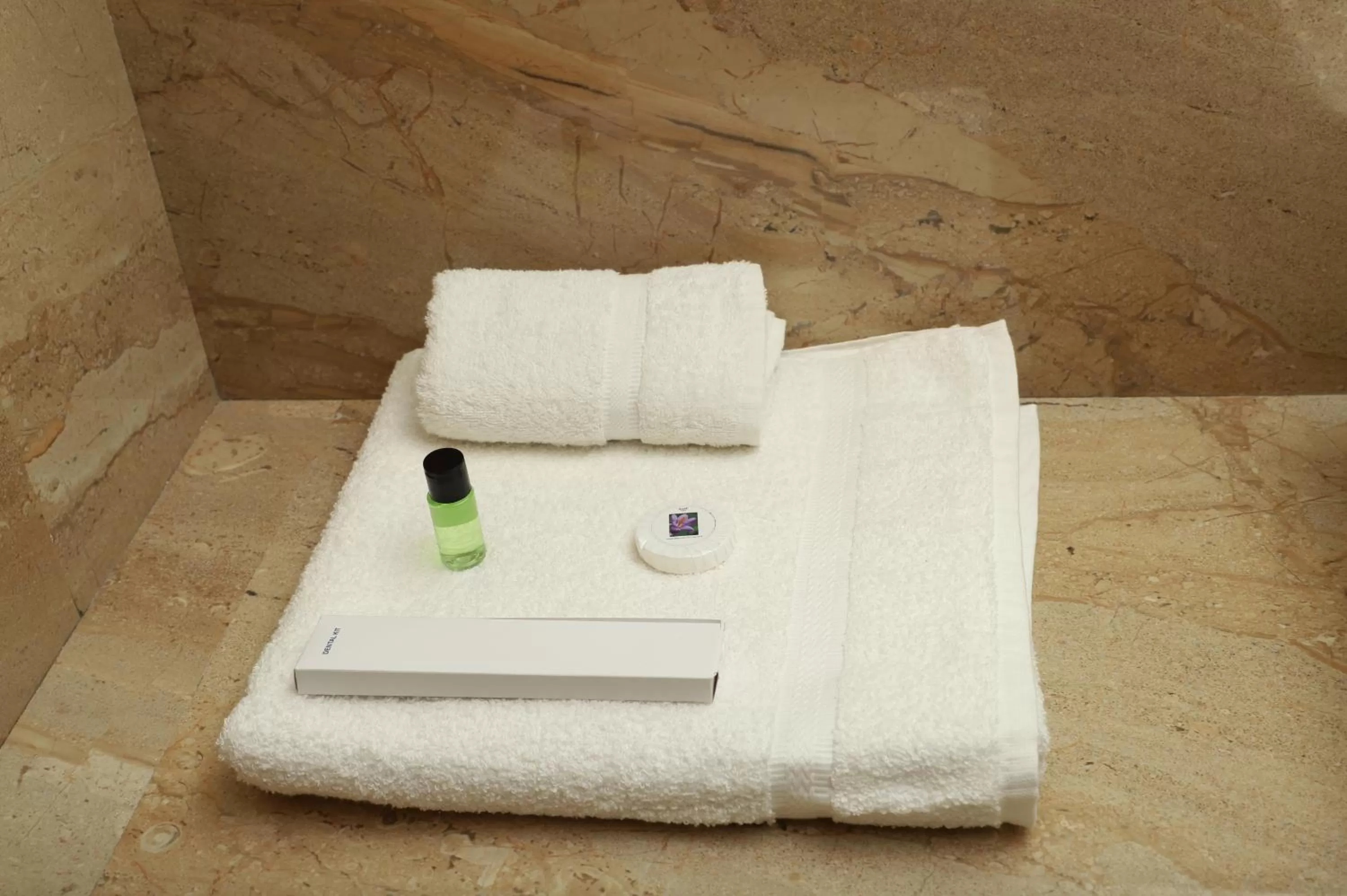 Bathroom in Hotel Florence