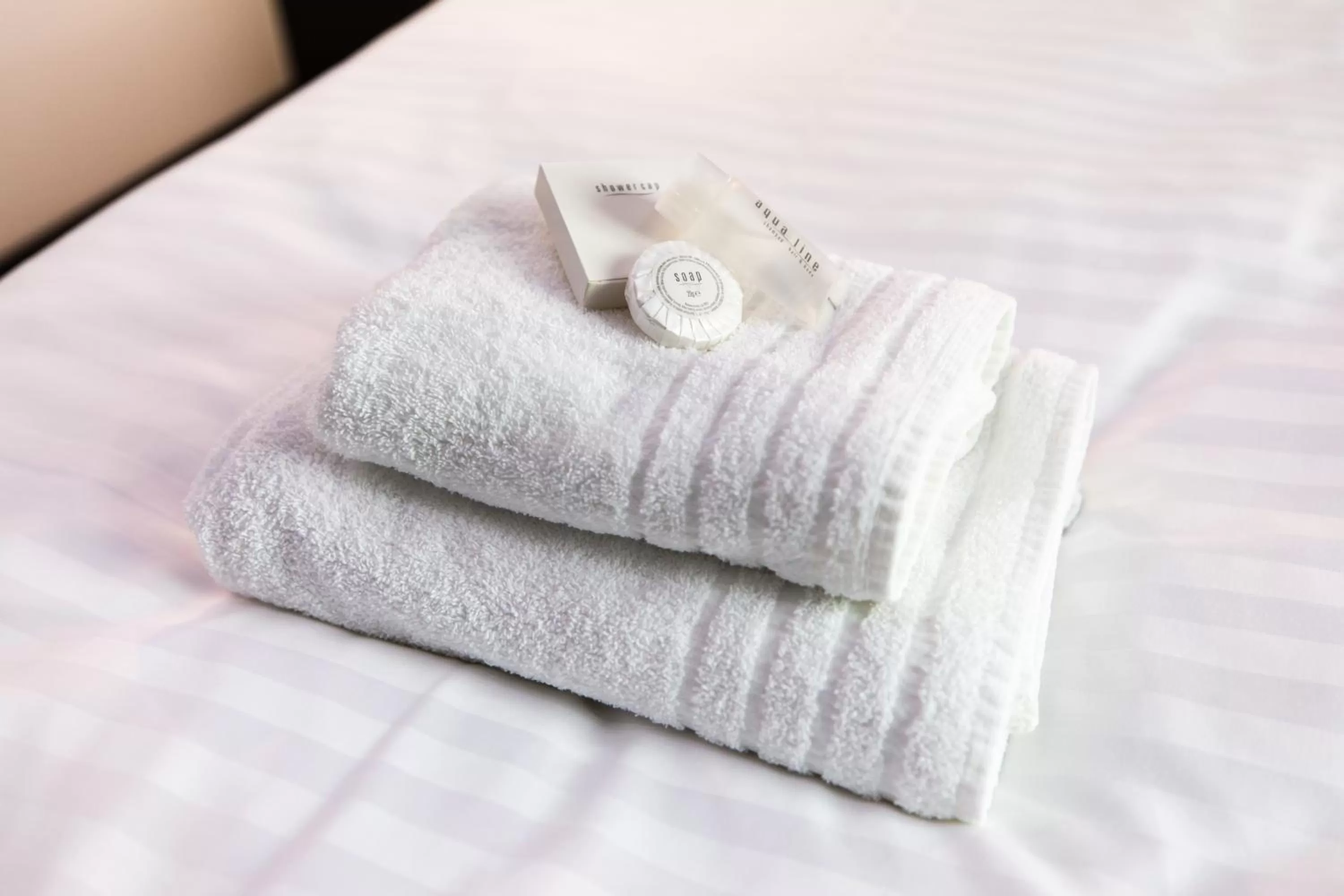 Bed in Hotel U Kostela