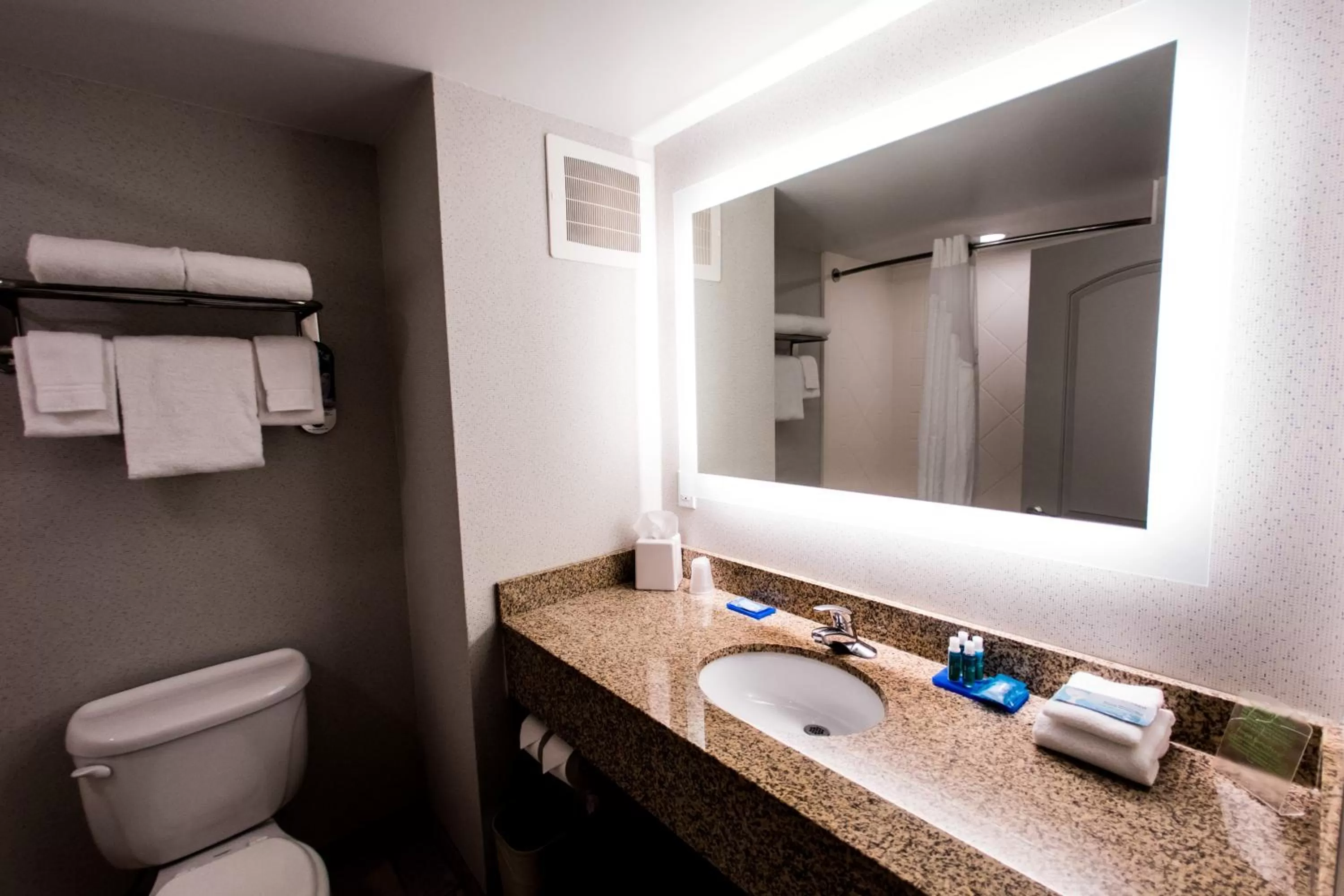 Bathroom in Holiday Inn Express Dayton by IHG