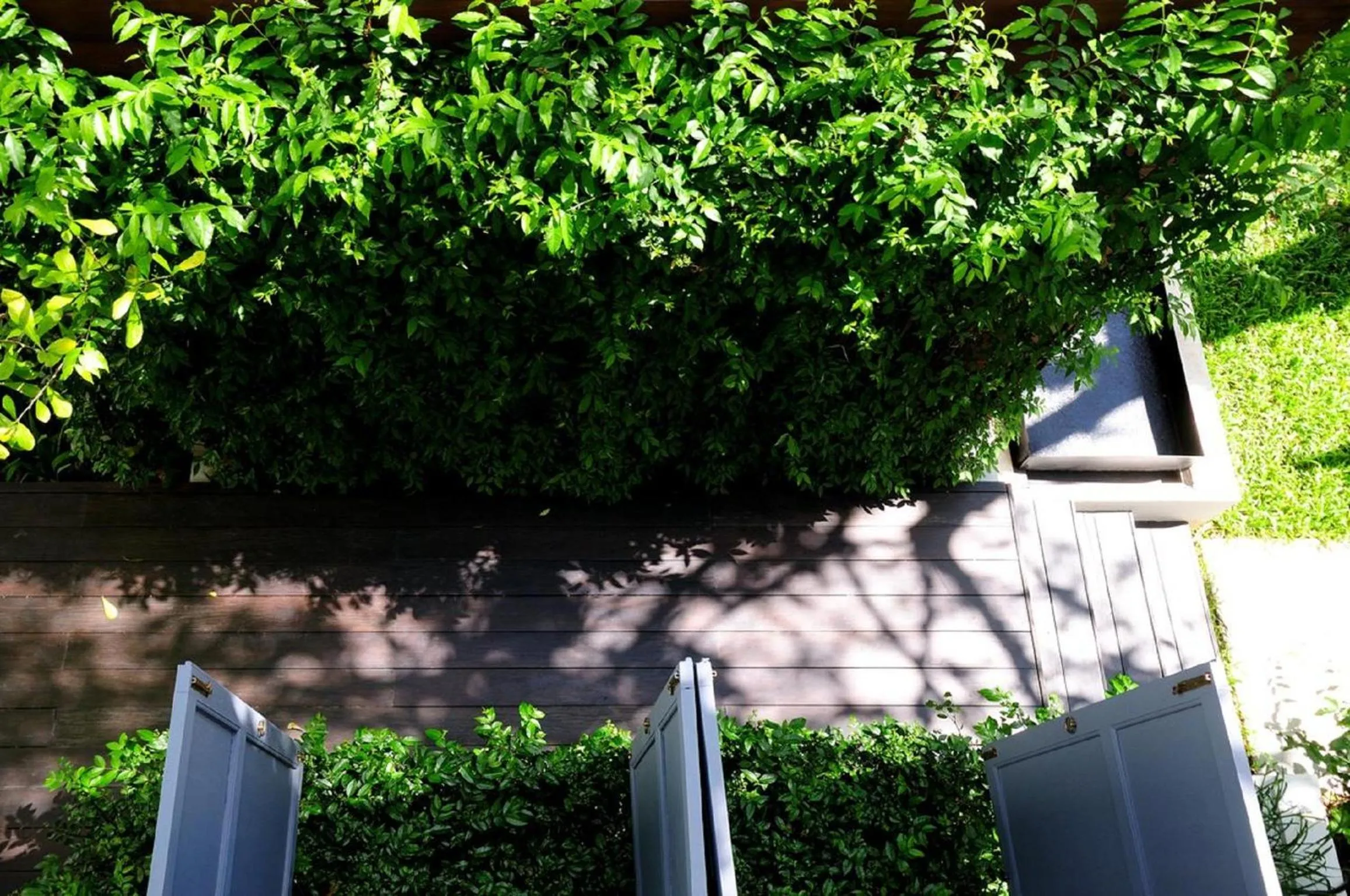 Garden in Baan Noppawong