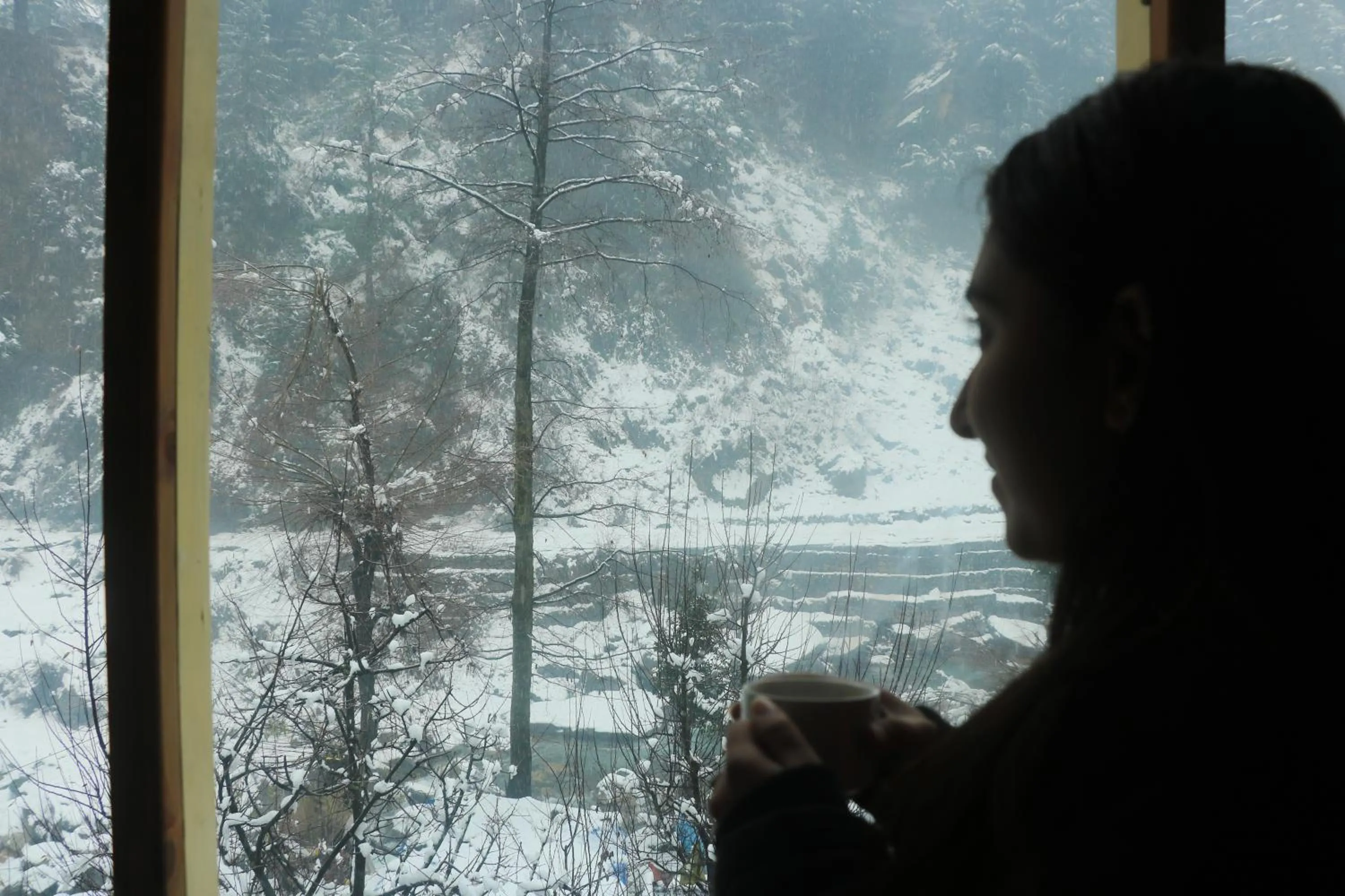 View (from property/room) in Backpackers Headquarter Manali