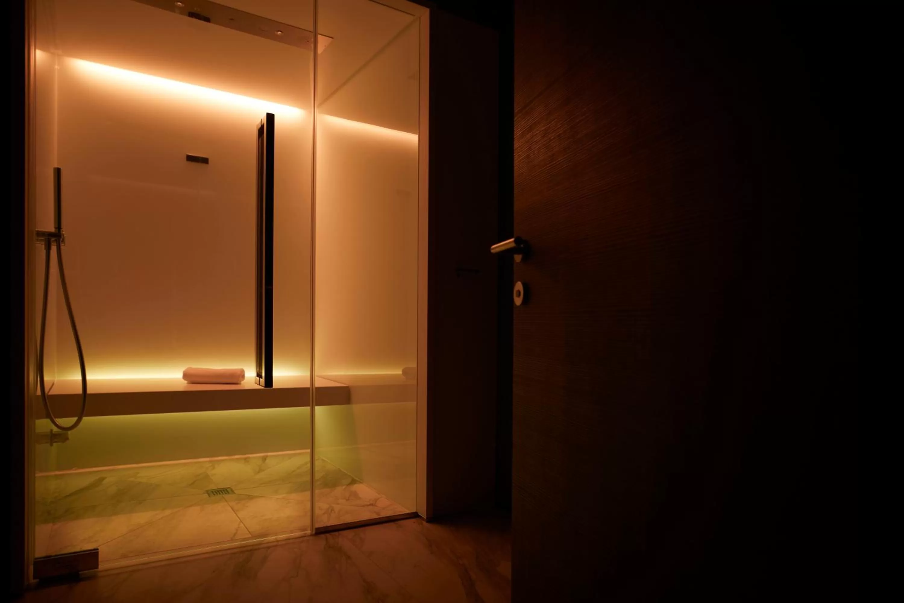 Spa and wellness centre/facilities in Hotel Concord