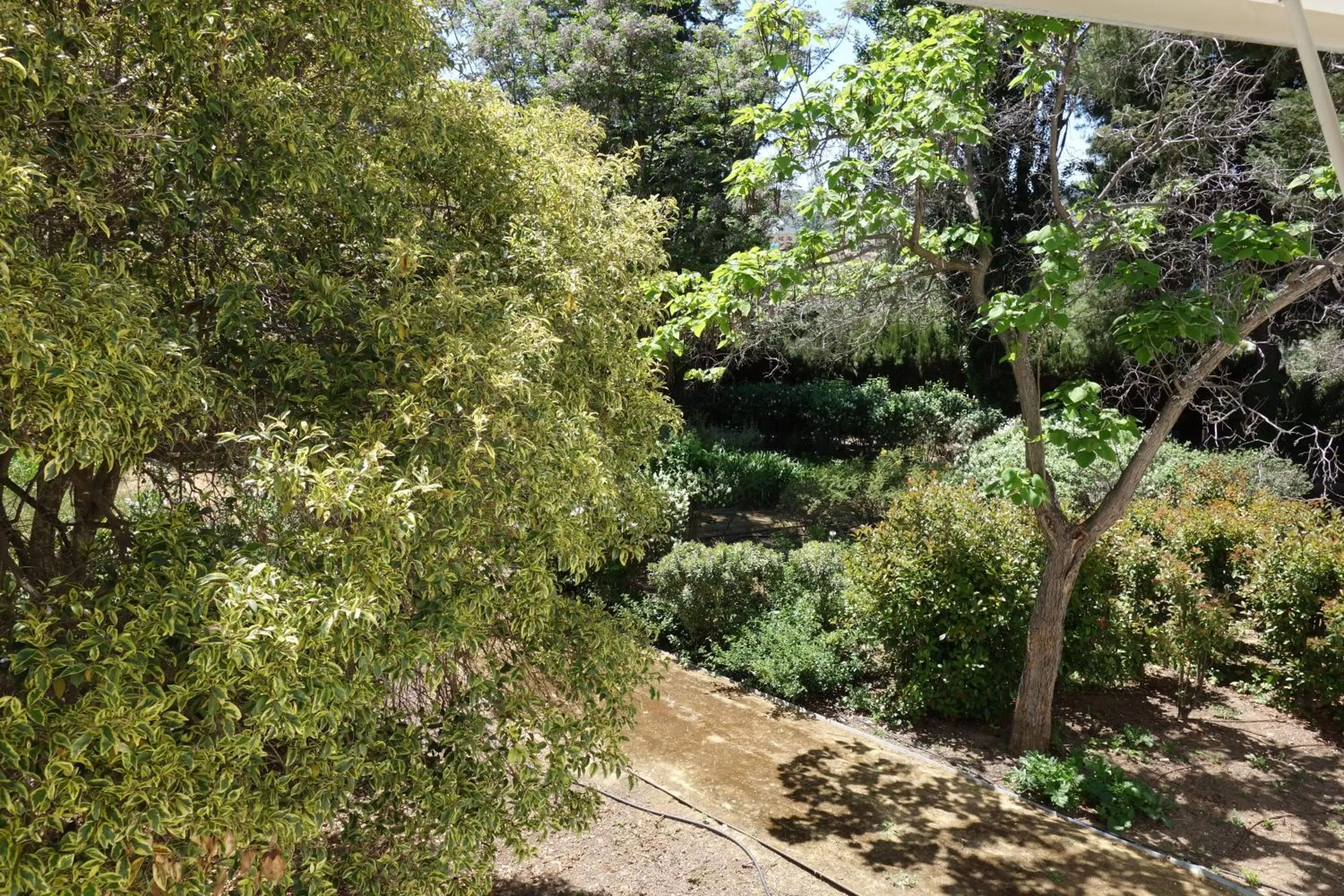 Garden in Parador de Antequera