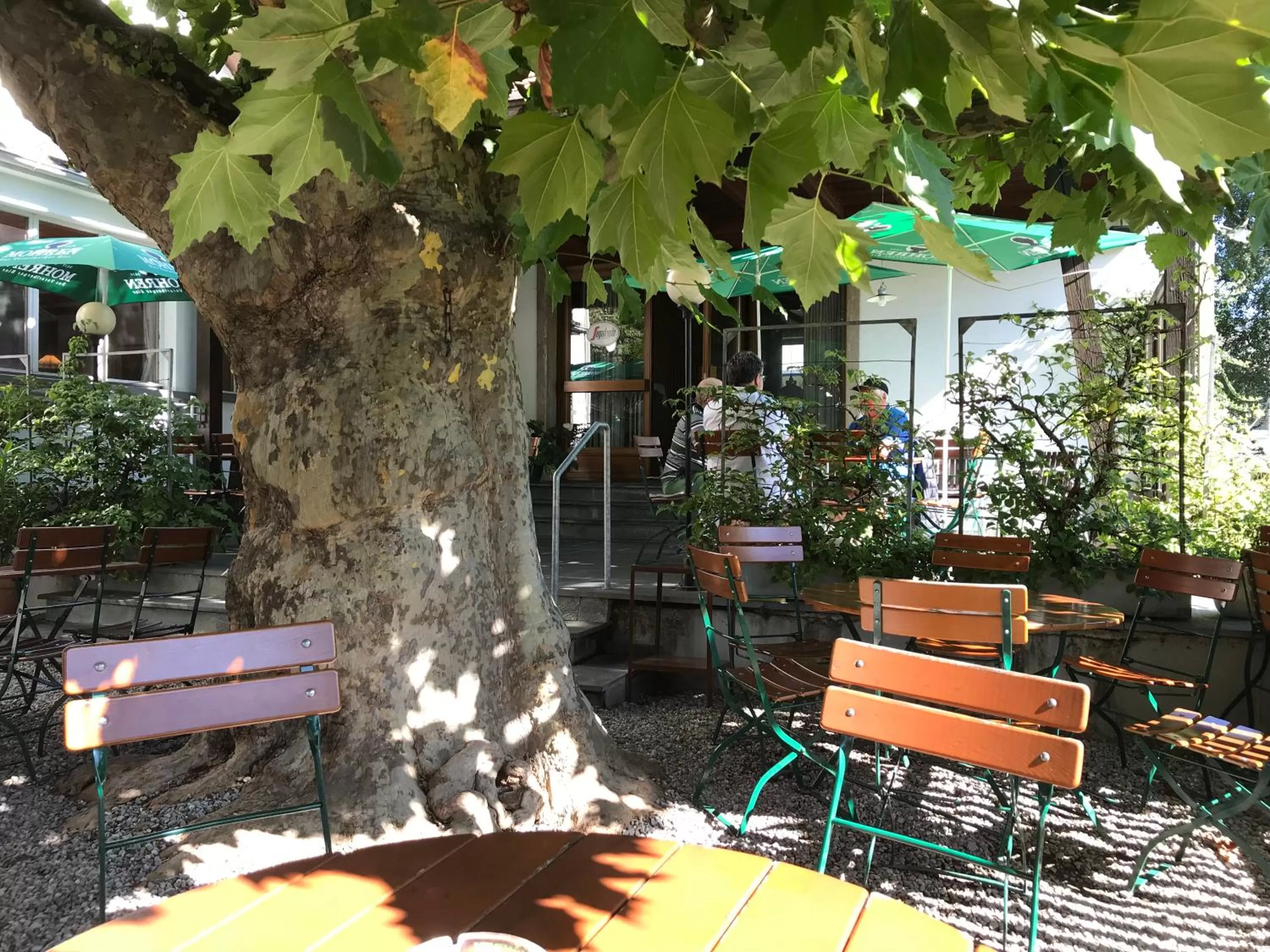 Patio in Gasthof Löwen Tosters