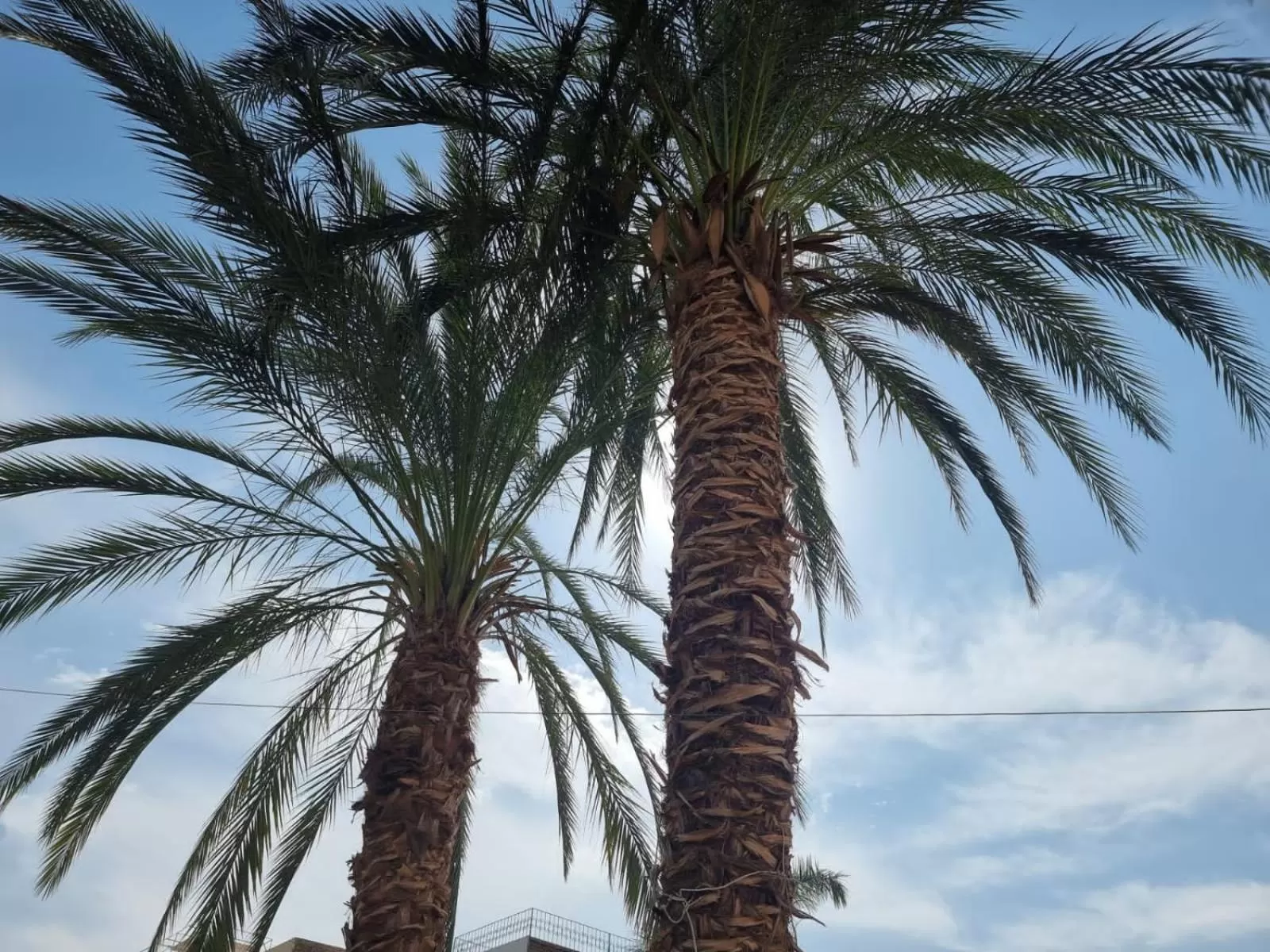 Luxor Old Nile Hotel