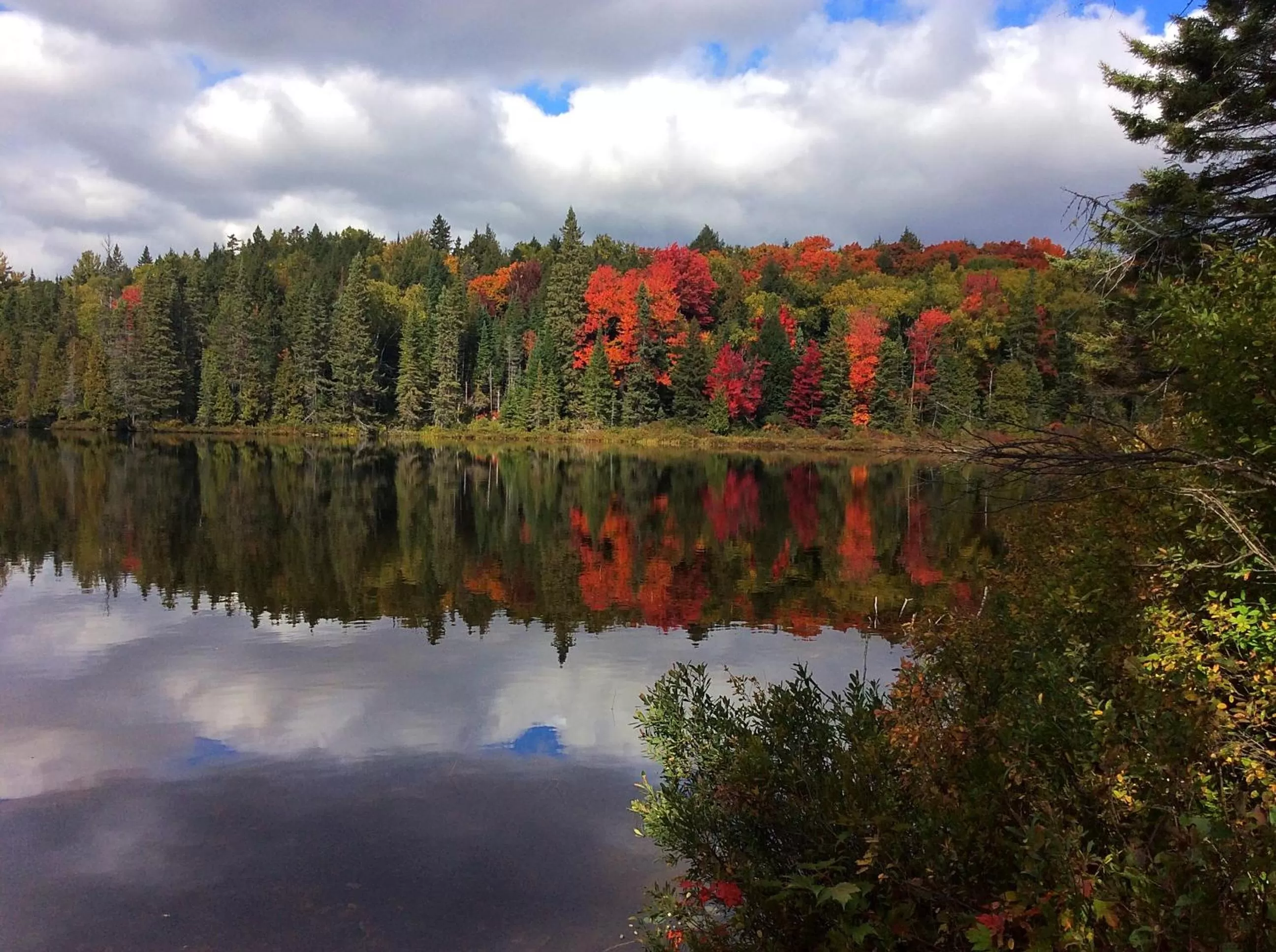 Natural landscape in Madawaska Lodge
