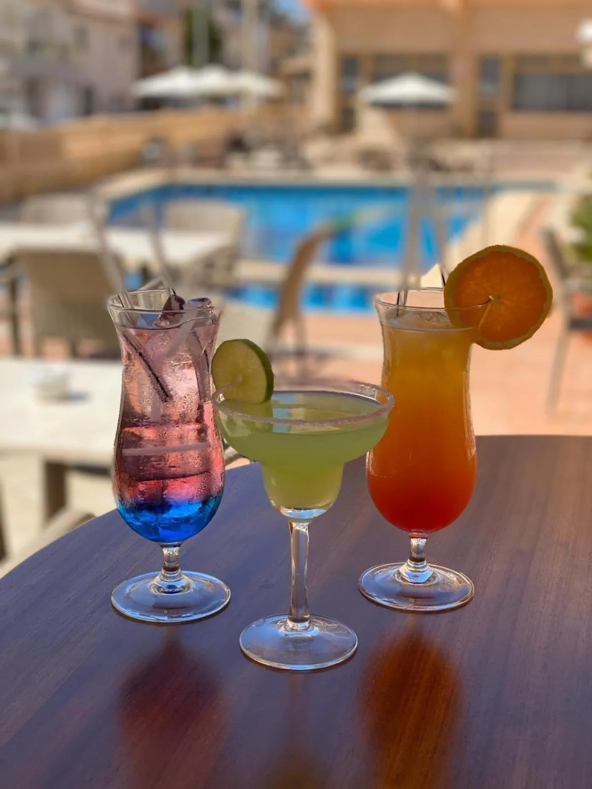 Lounge or bar in Hotel Iris - Only Adults