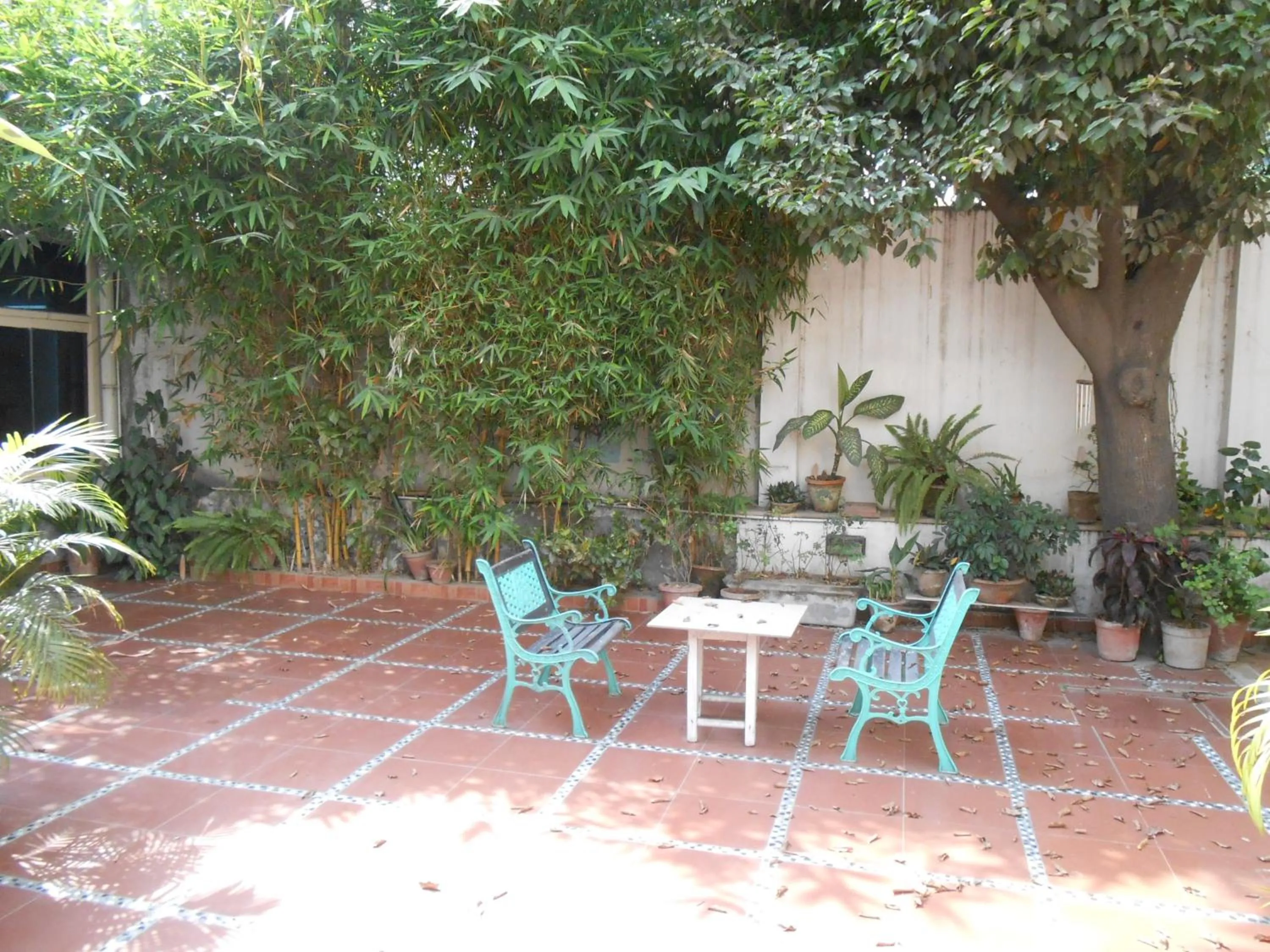 Patio in Trendy Bed & Breakfast