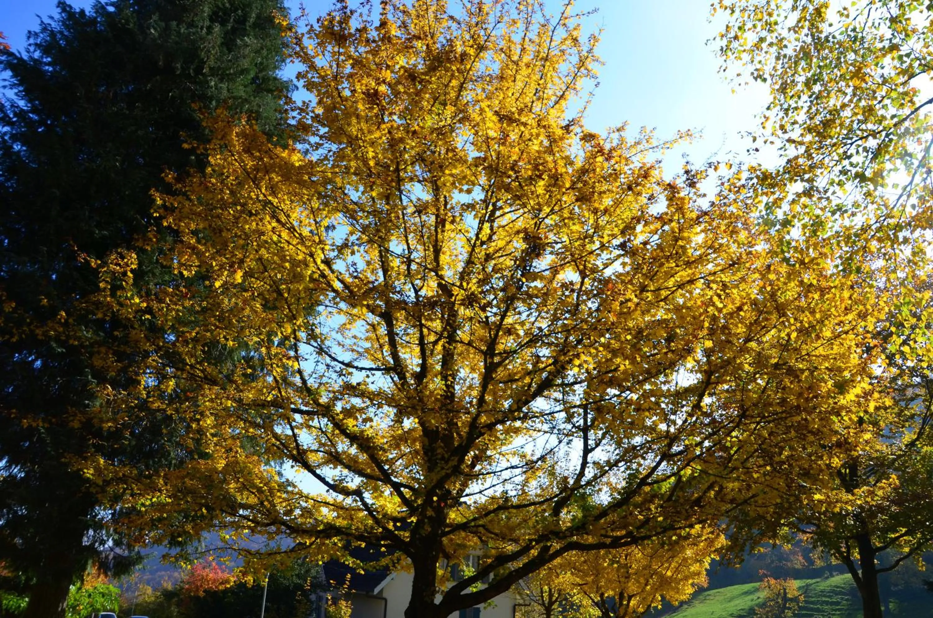 Day in Bad Schauenburg