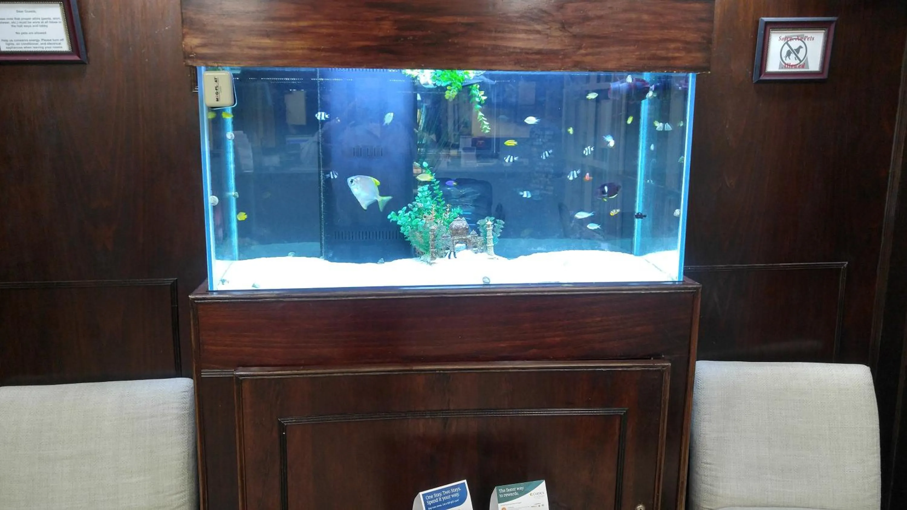 Lobby or reception, View in Baymont by Wyndham Florida City