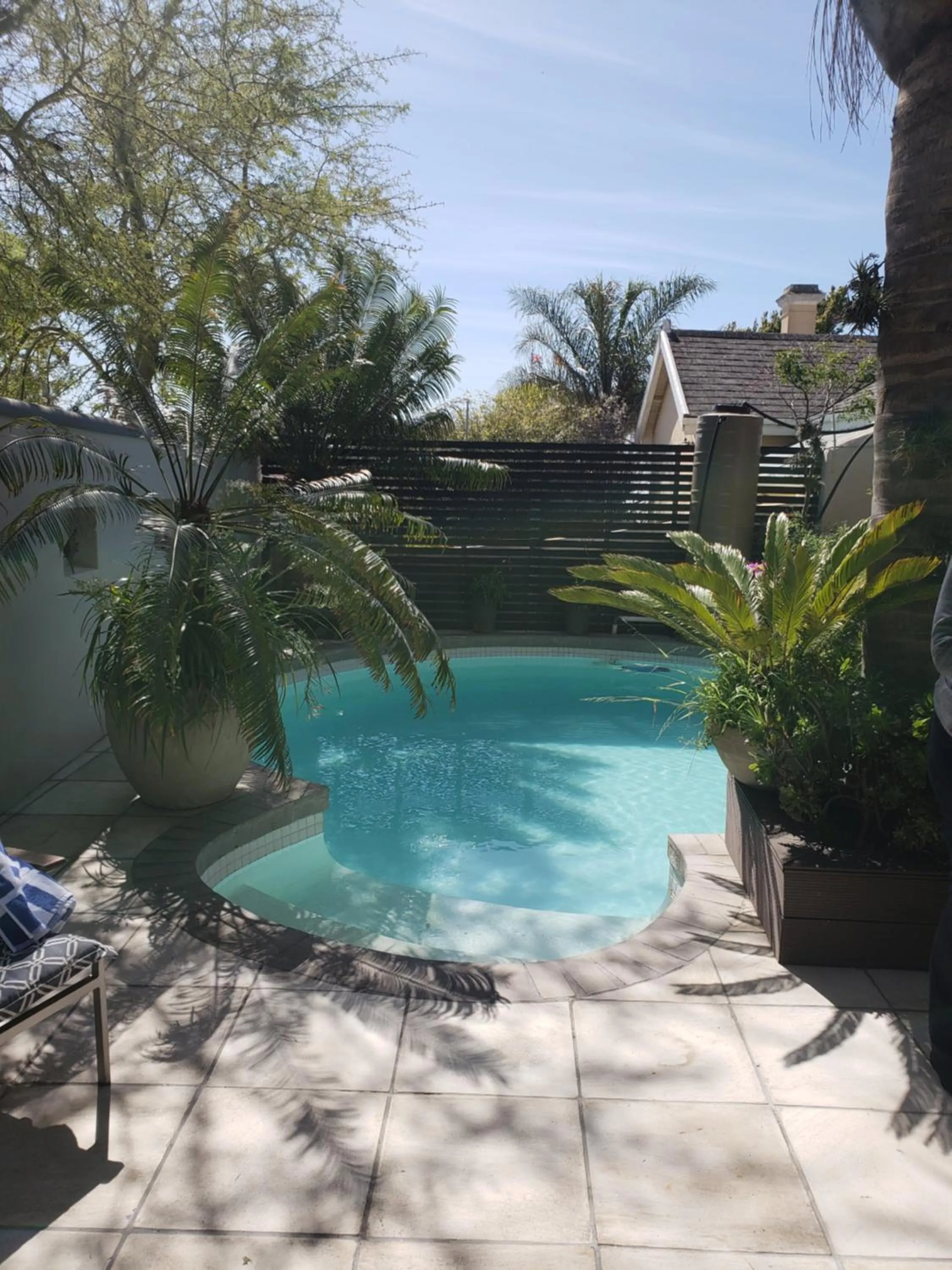 Pool view in Point B Guest House -Sustainable Solar Energy