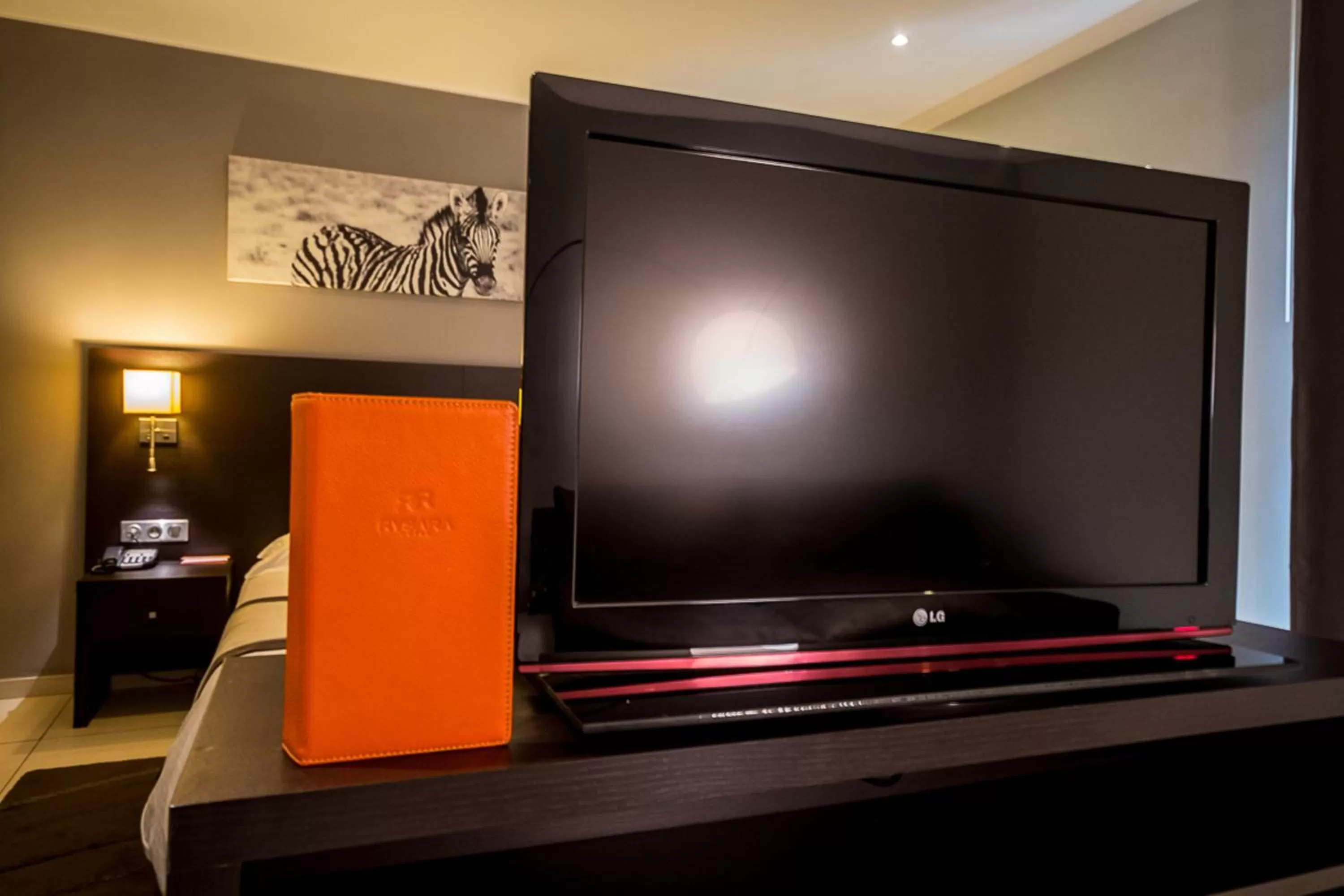 TV and multimedia in Rysara Hotel