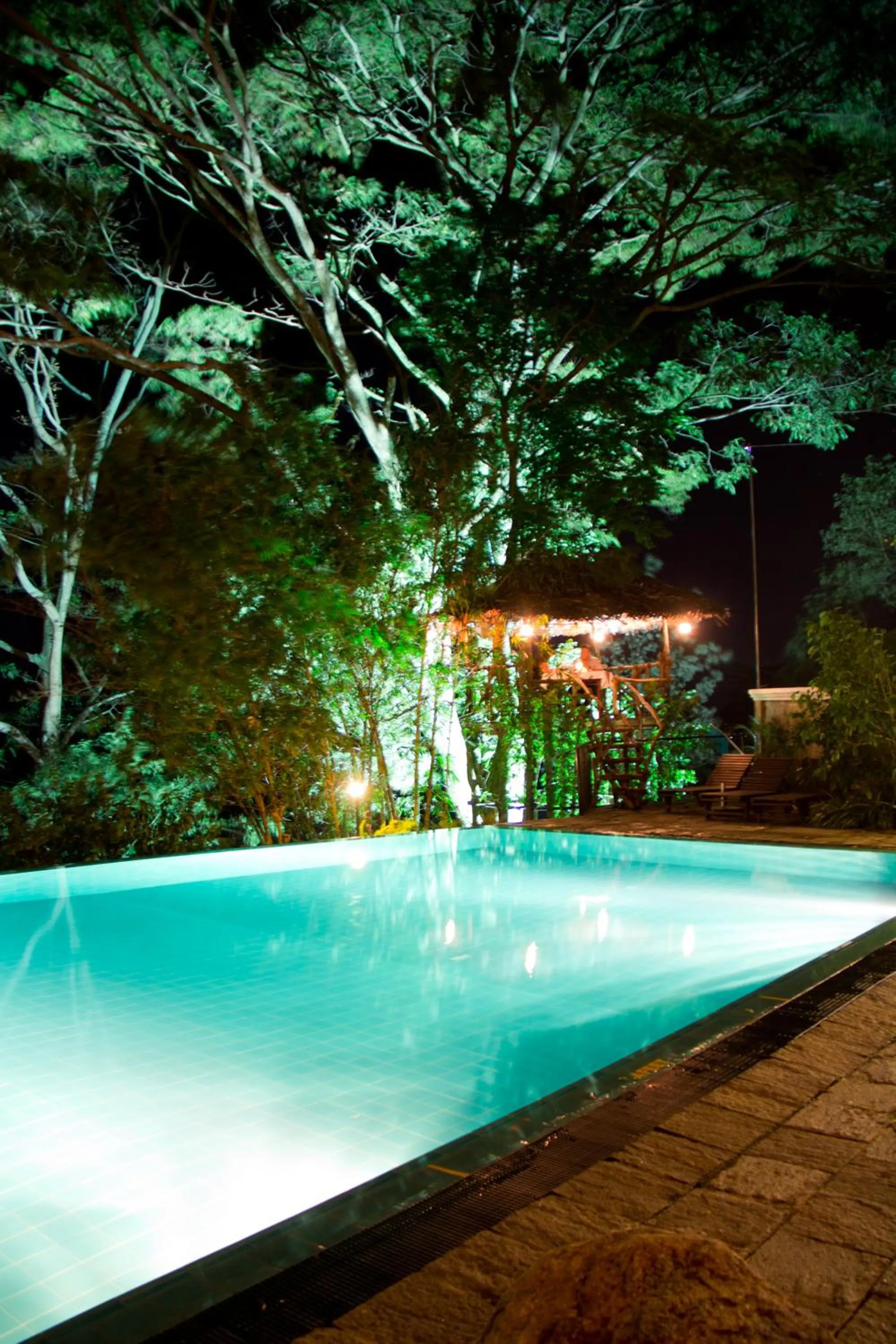 Night in Randholee Resort & Spa