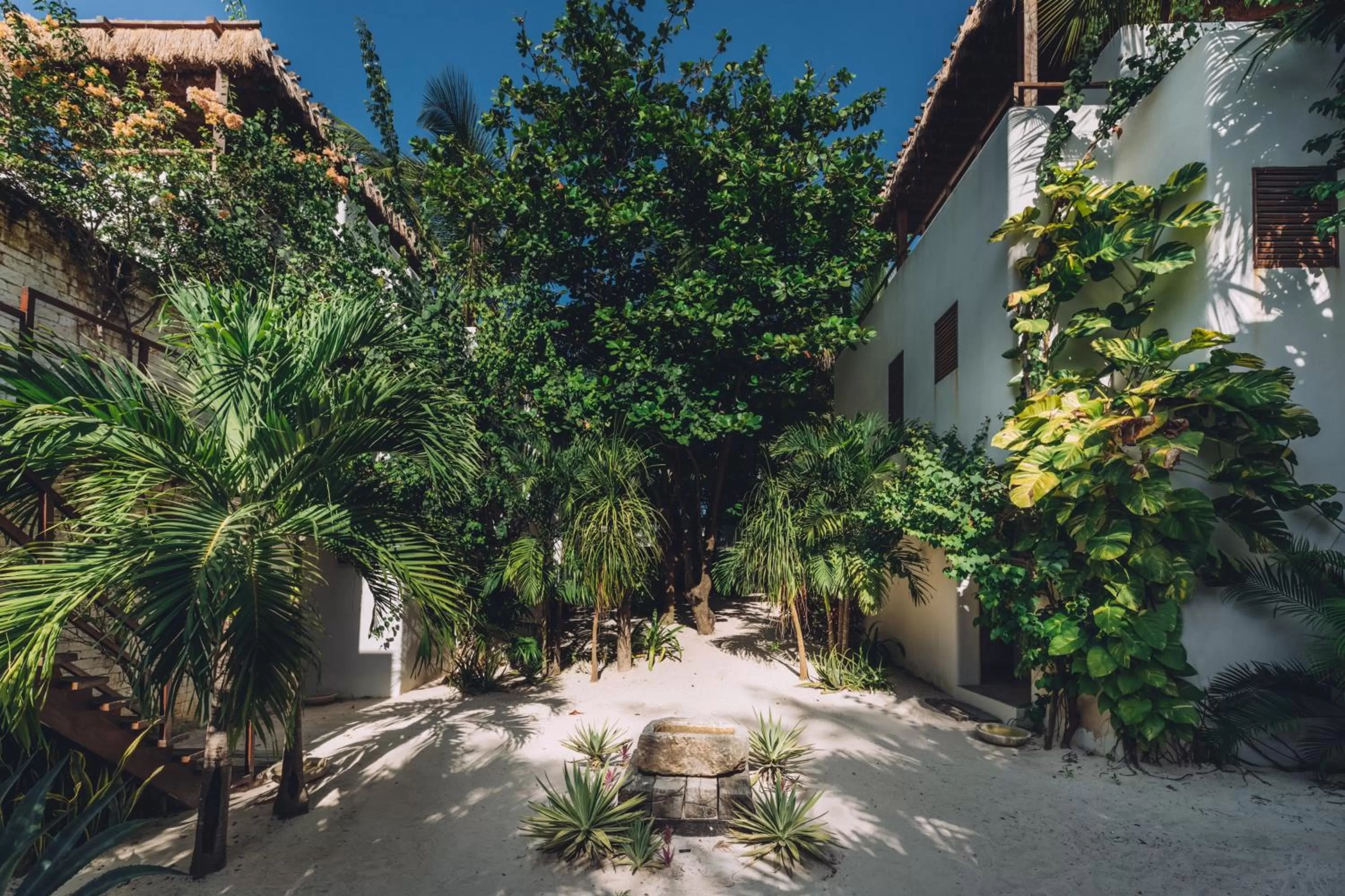 Property building in Chiringuito Tulum