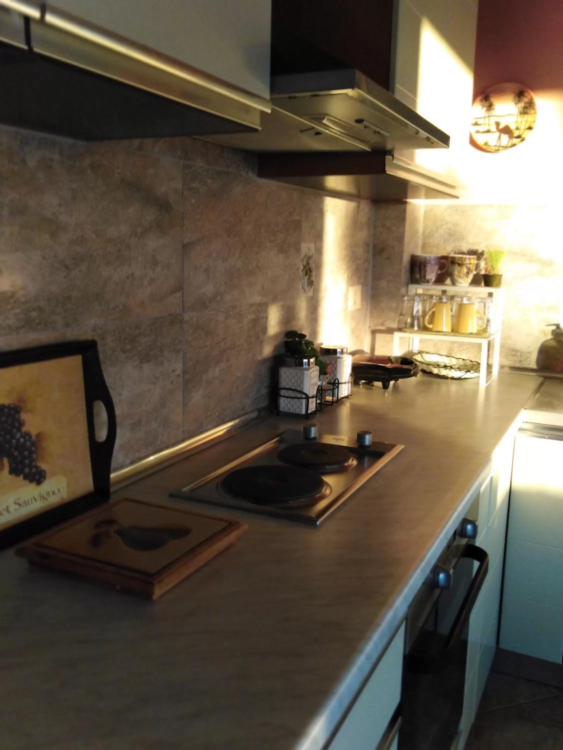 Kitchen or kitchenette in Jelena's Luxury Apartments