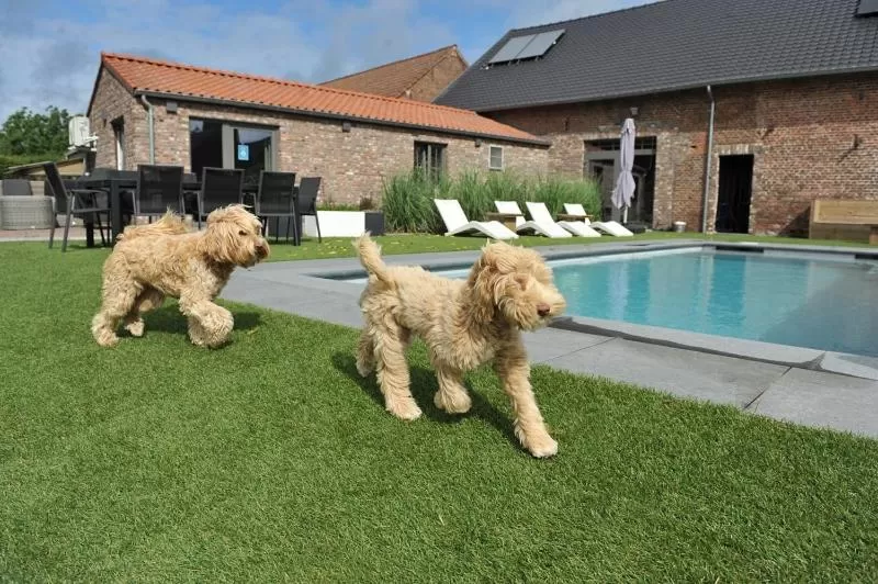 Property Building in B&B Het Vuchterhof