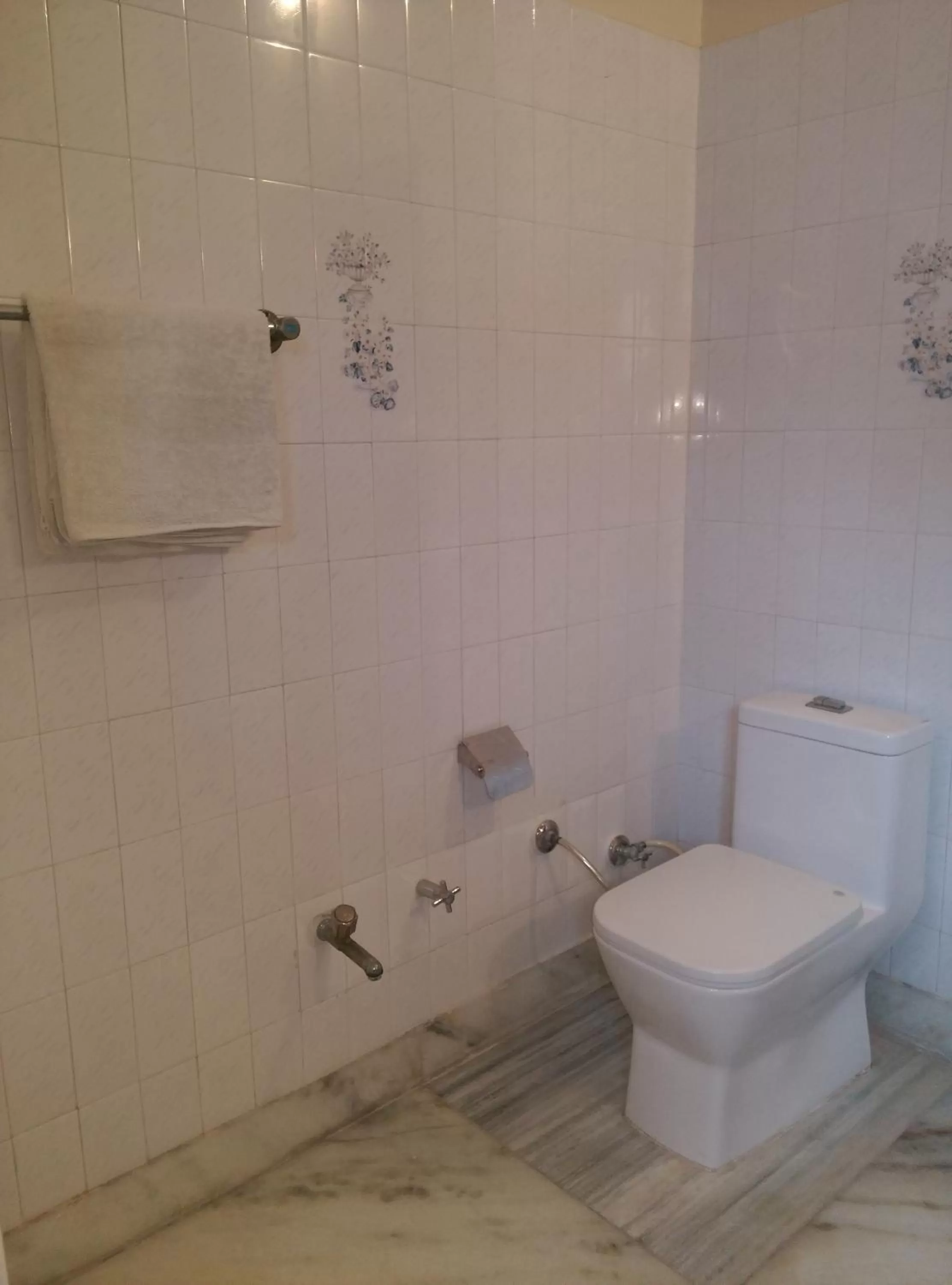 Toilet in Savrupson Heritage Home