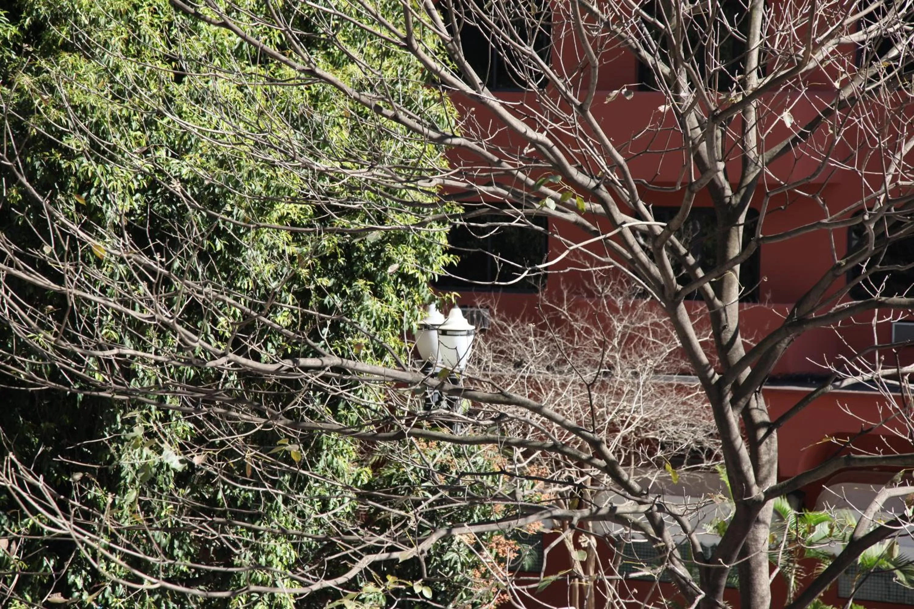Facade/entrance in San Michel Hotel