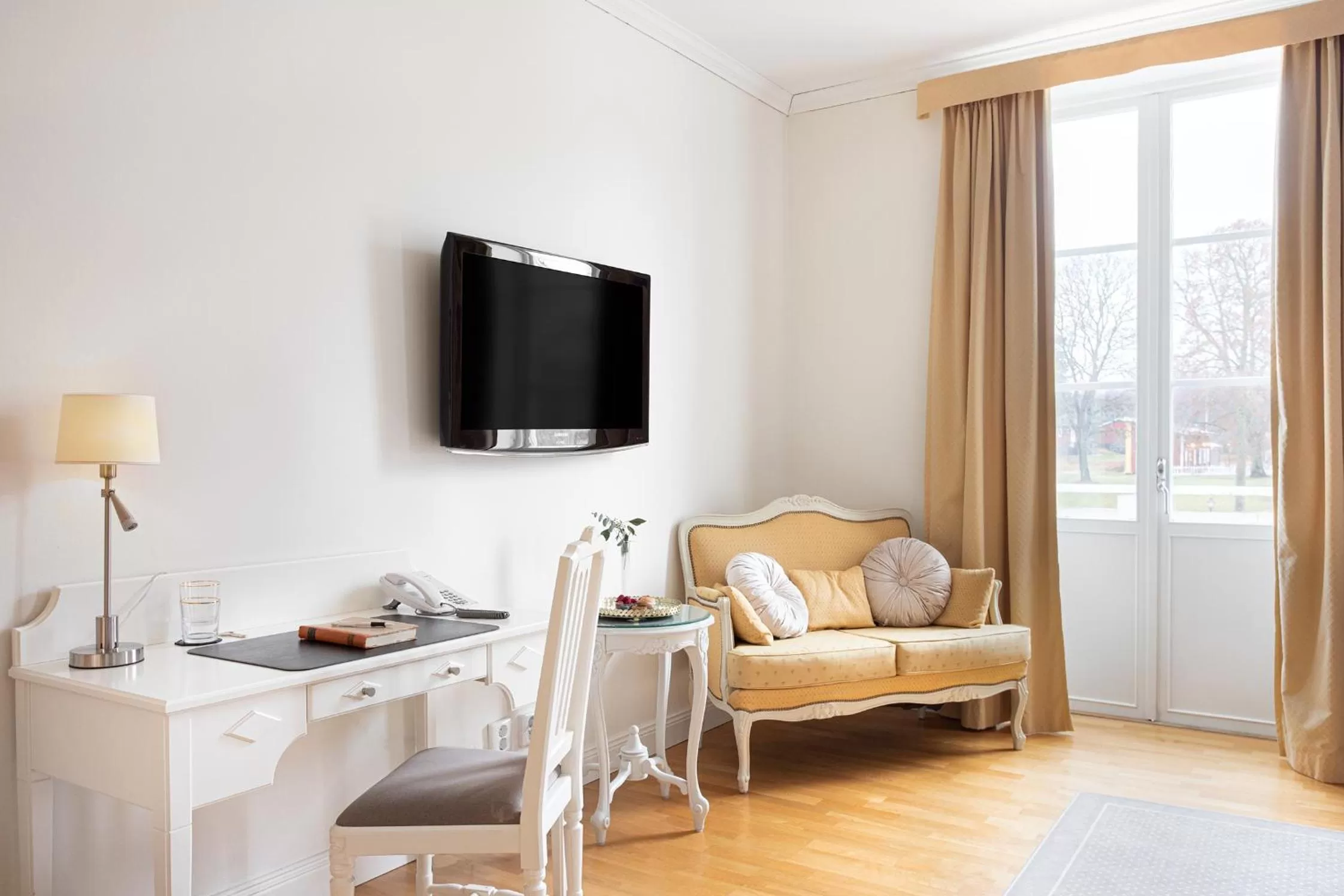 TV and multimedia in Lejondals Slott