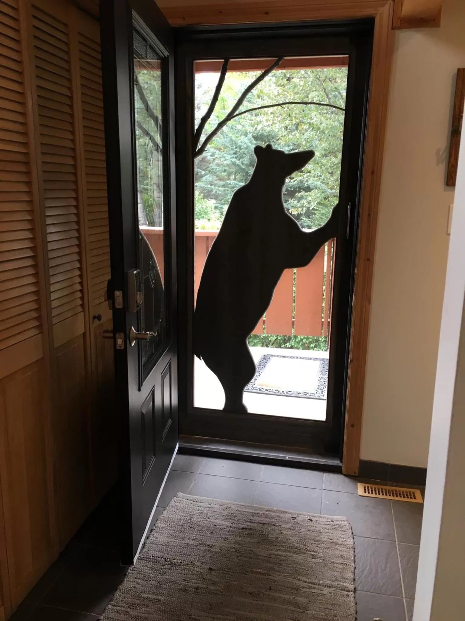 Ambleside Lodge Bed & Breakfast