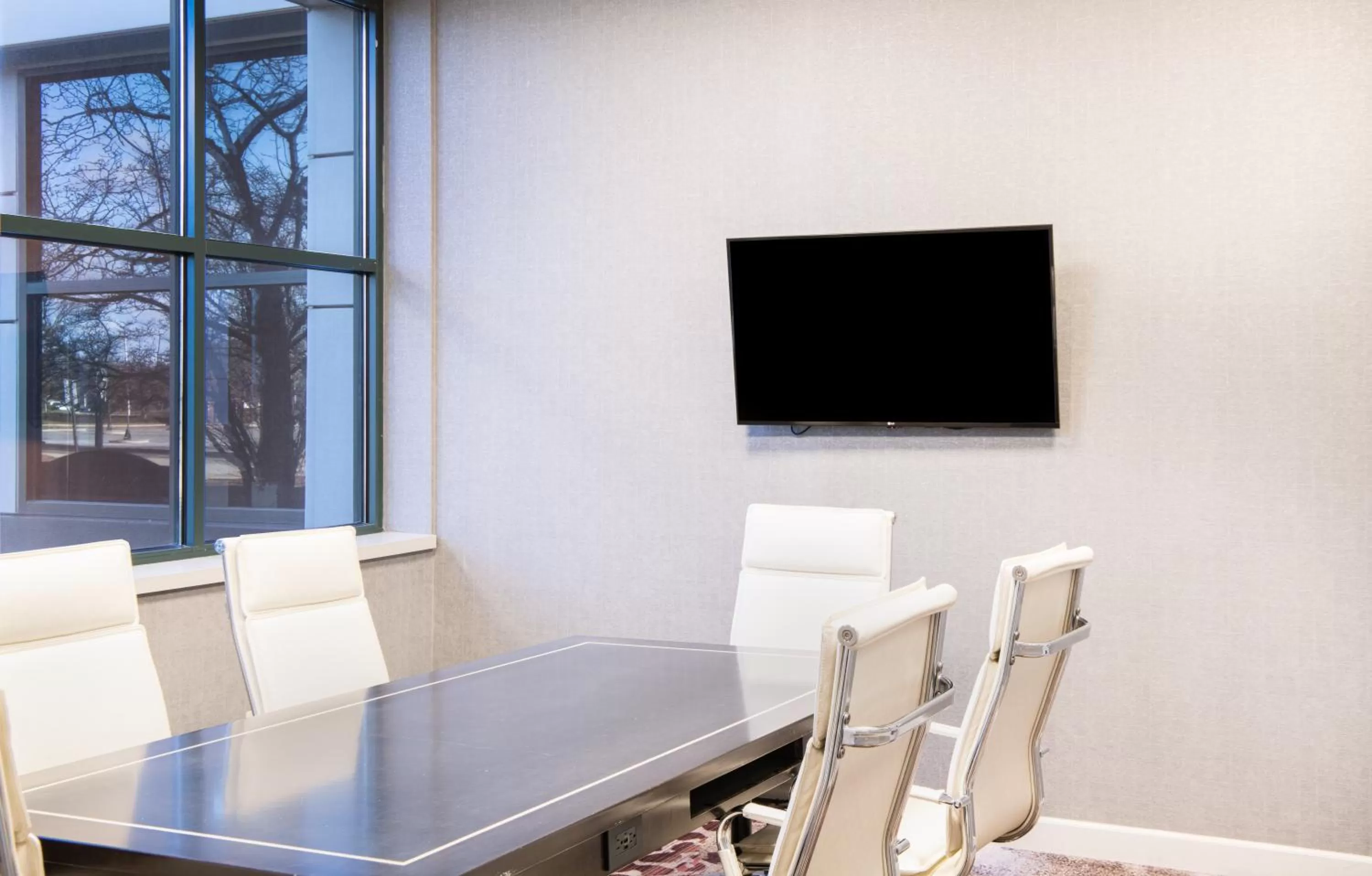 TV and multimedia in Chicago Marriott Suites Deerfield