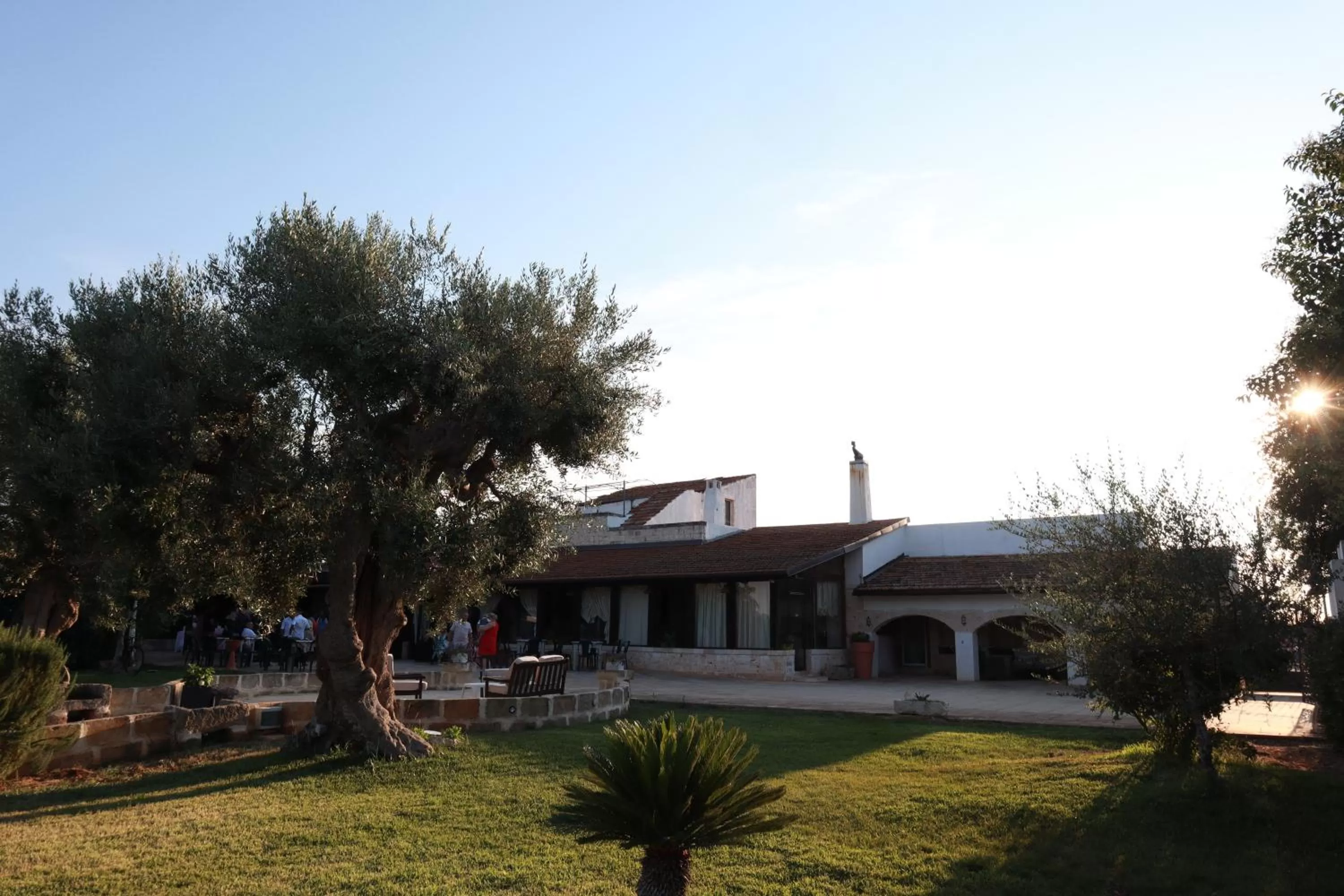 Garden in Agriturismo Masseria Alberotanza