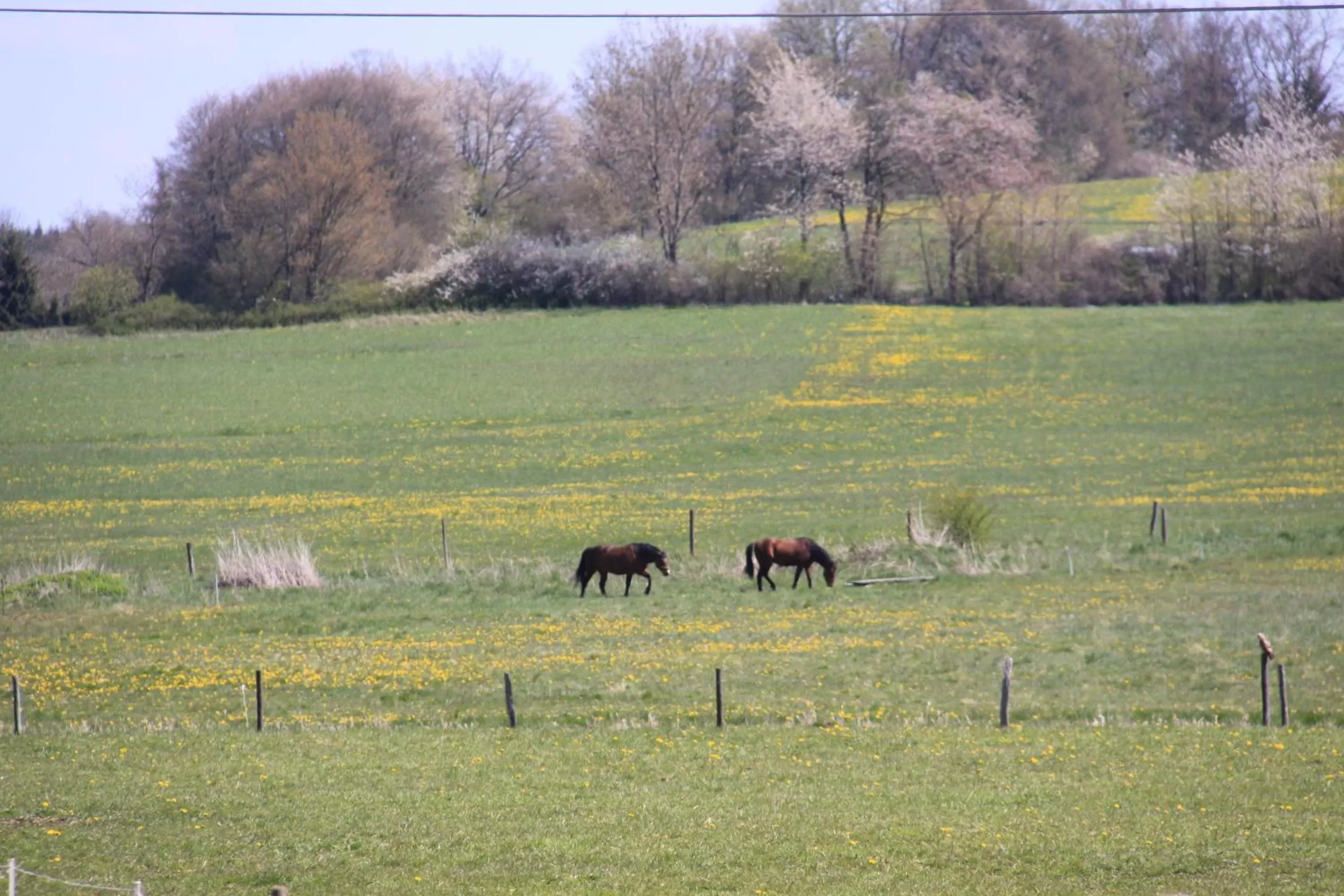 Natural landscape in mein kleinHOTEL