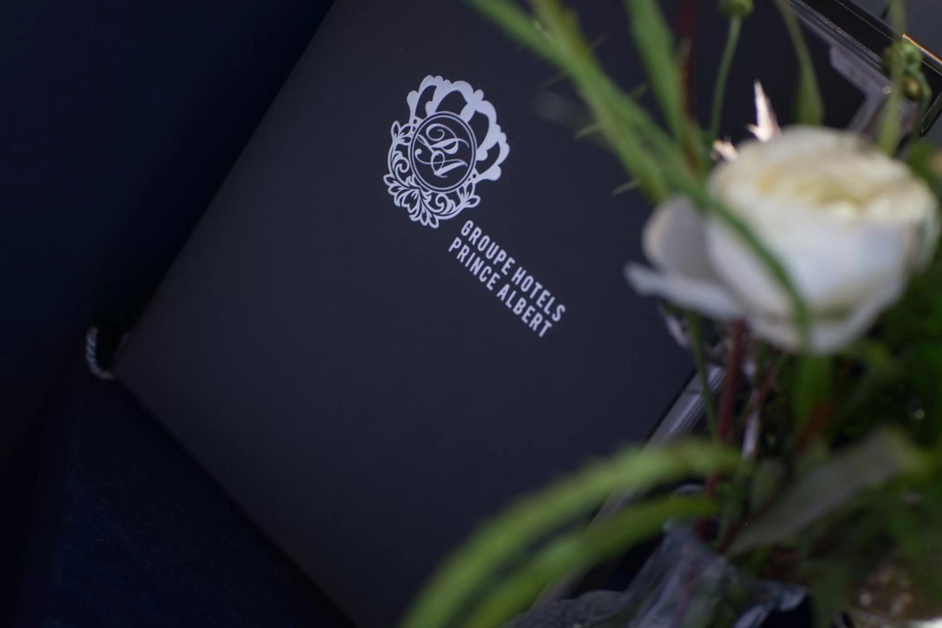 Decorative detail in Prince Albert Montmartre