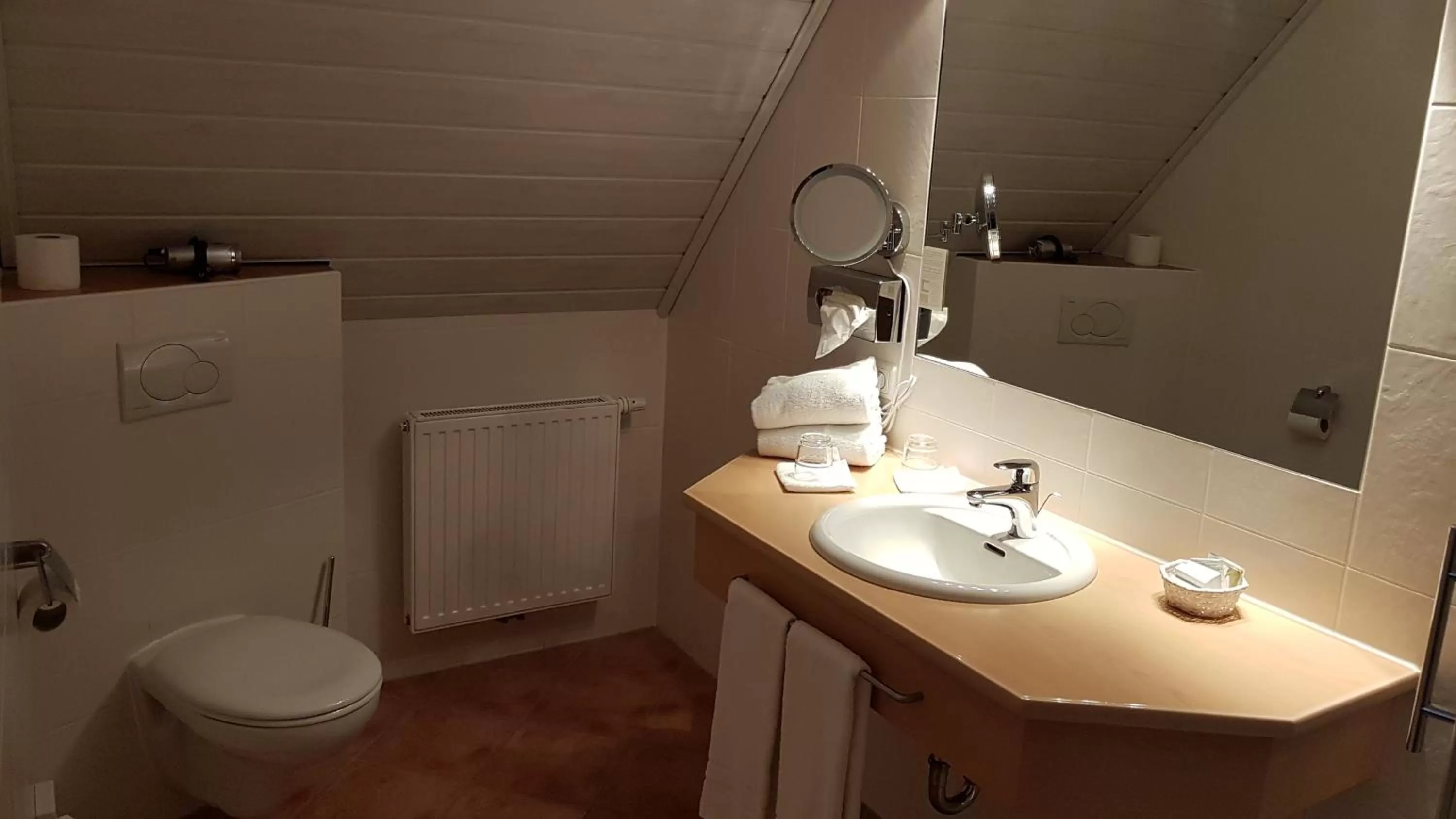 Toilet in Landhotel Geiselwind