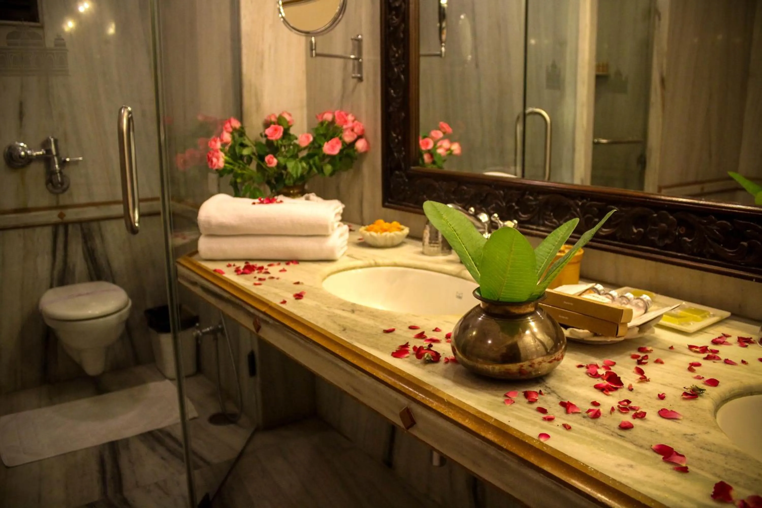 Toilet in Hotel Udai Kothi