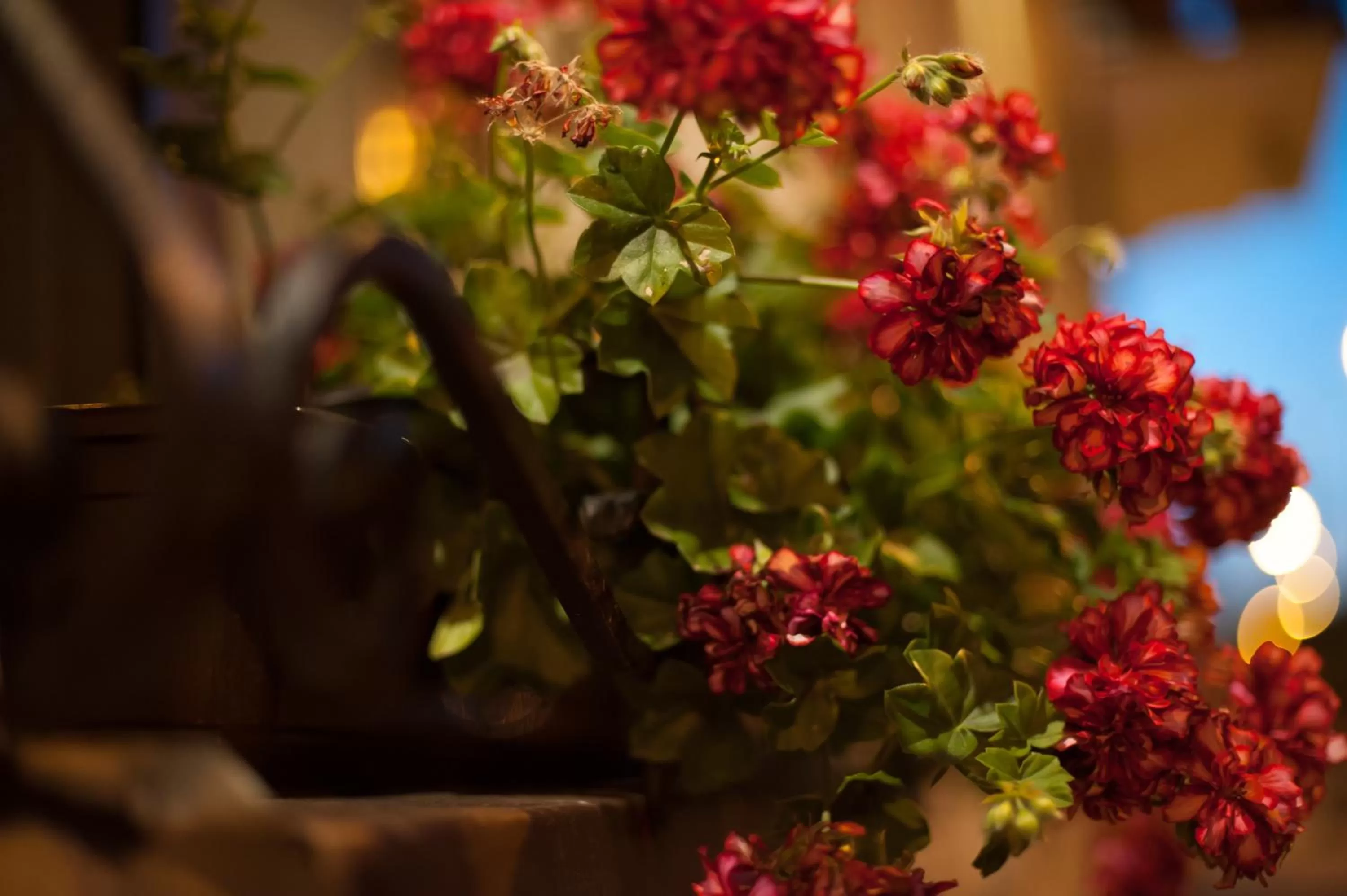 Decorative detail in Hotel Willa Adriana