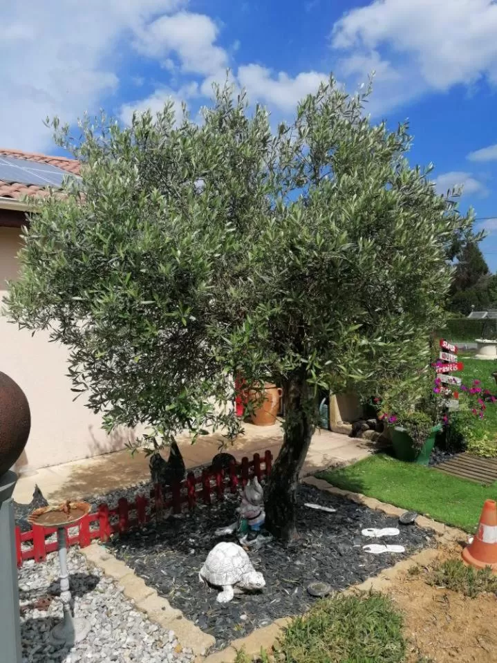 La roulotte des Trois Arbres