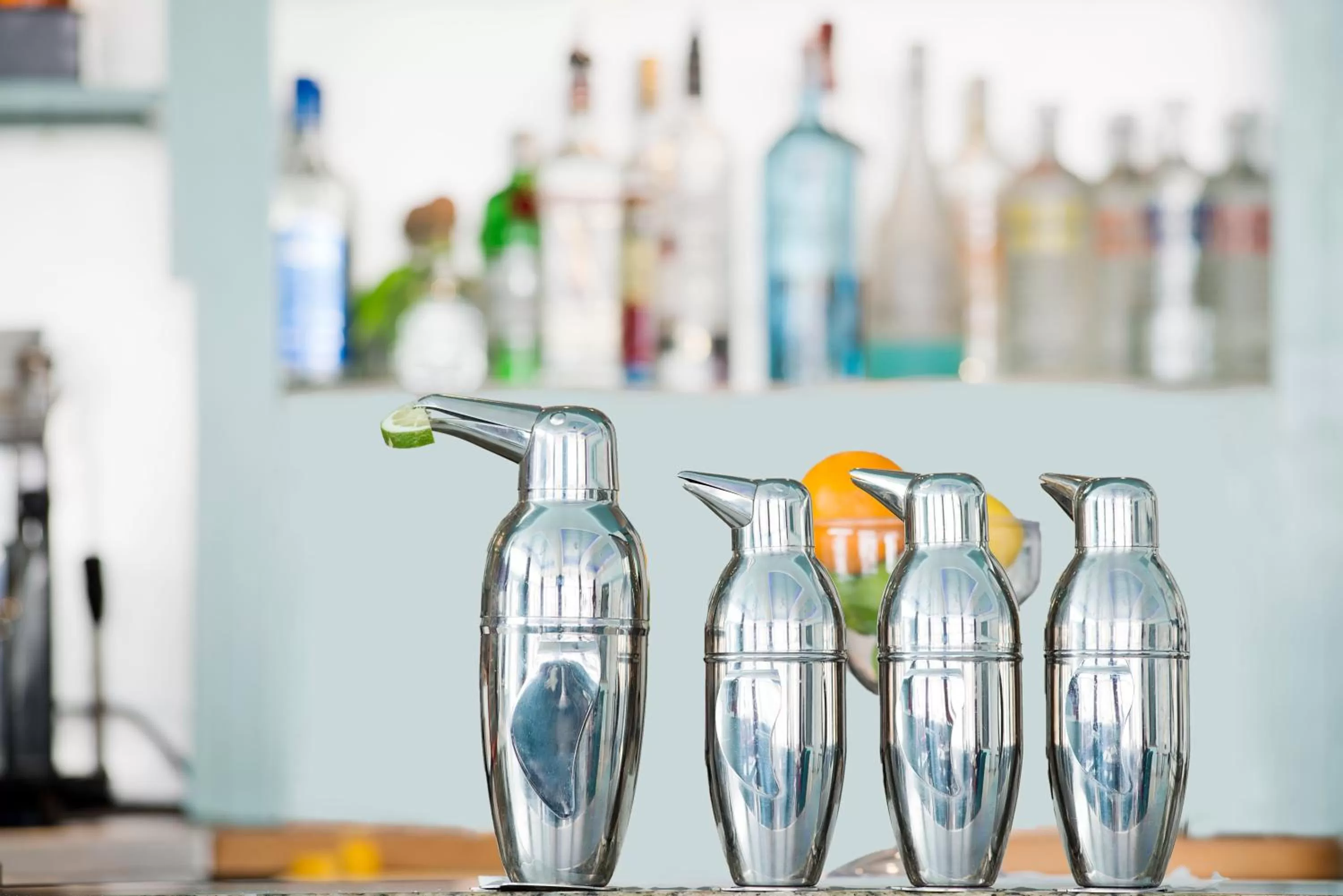 Lounge or bar in Penguin Hotel