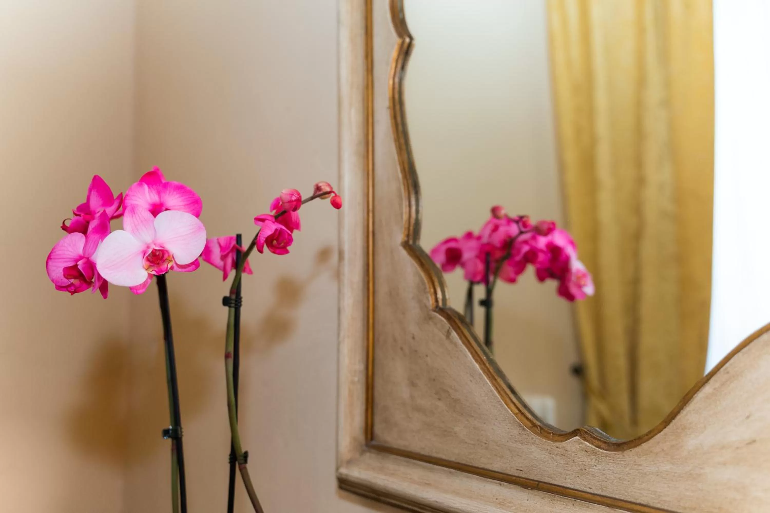 Decorative detail in Certosa di Pontignano Residenza d'Epoca - Place of Charme