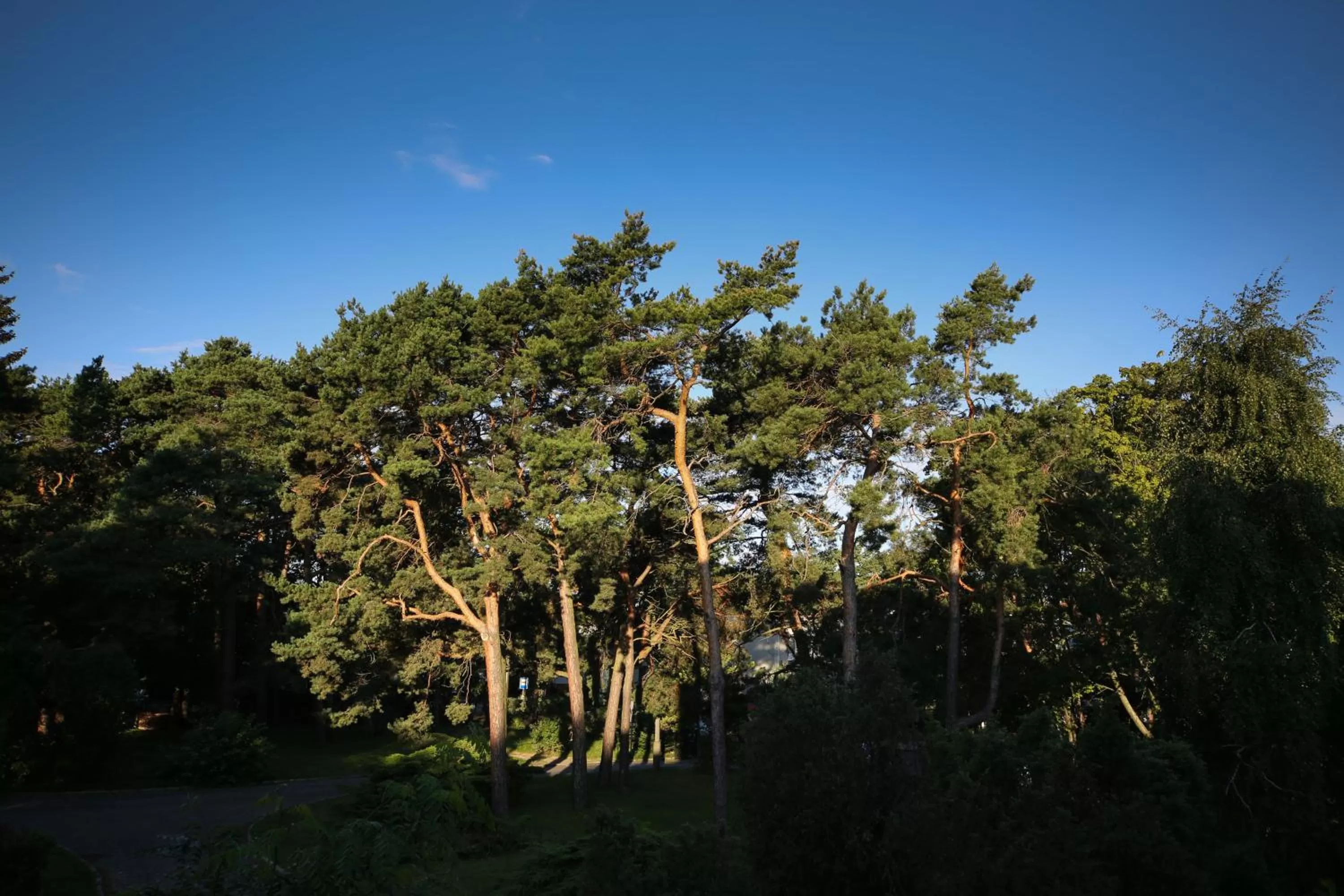 View (from property/room) in Hotel Pomarańczowa Plaża