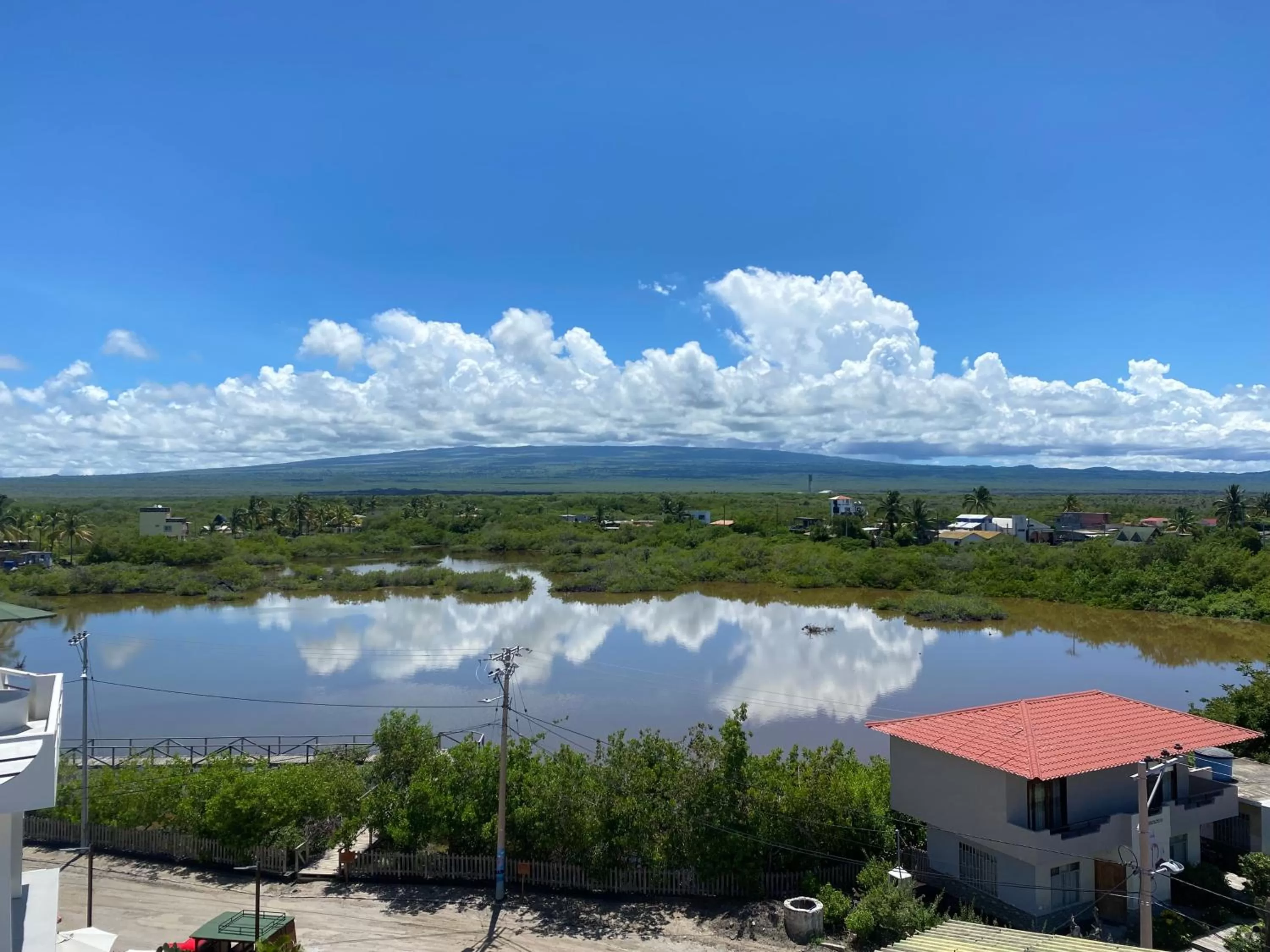 View (from property/room) in El Rincón de George