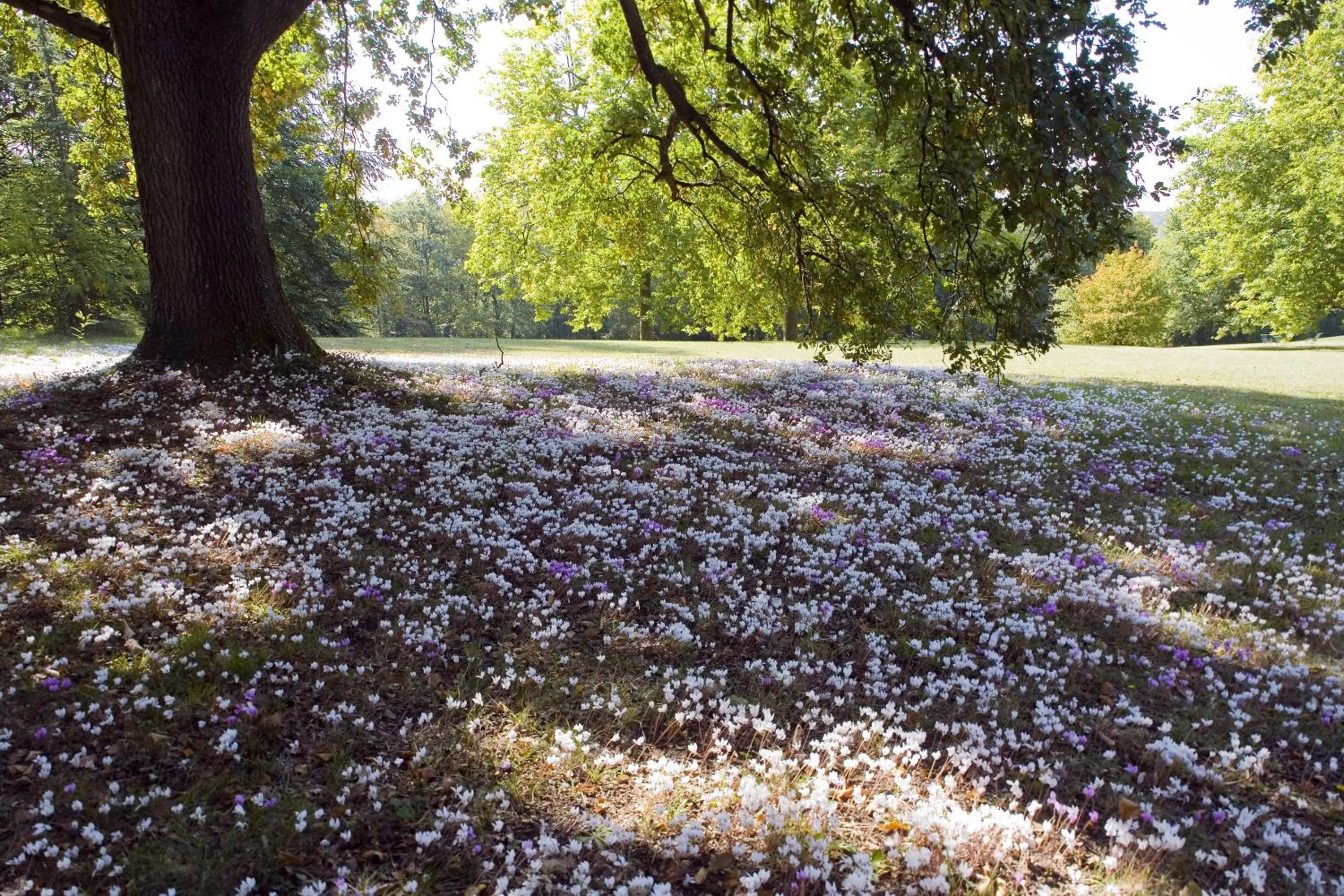 Day in Domaine de la Tortinière