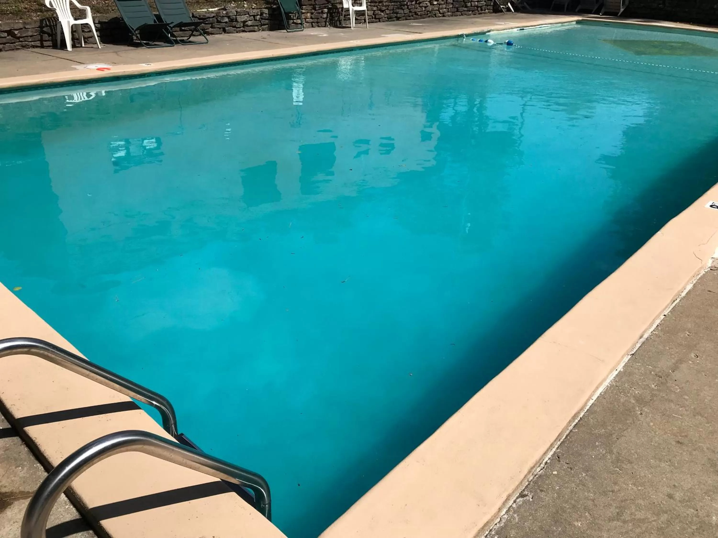 Swimming Pool in The Wanderoo Lodge