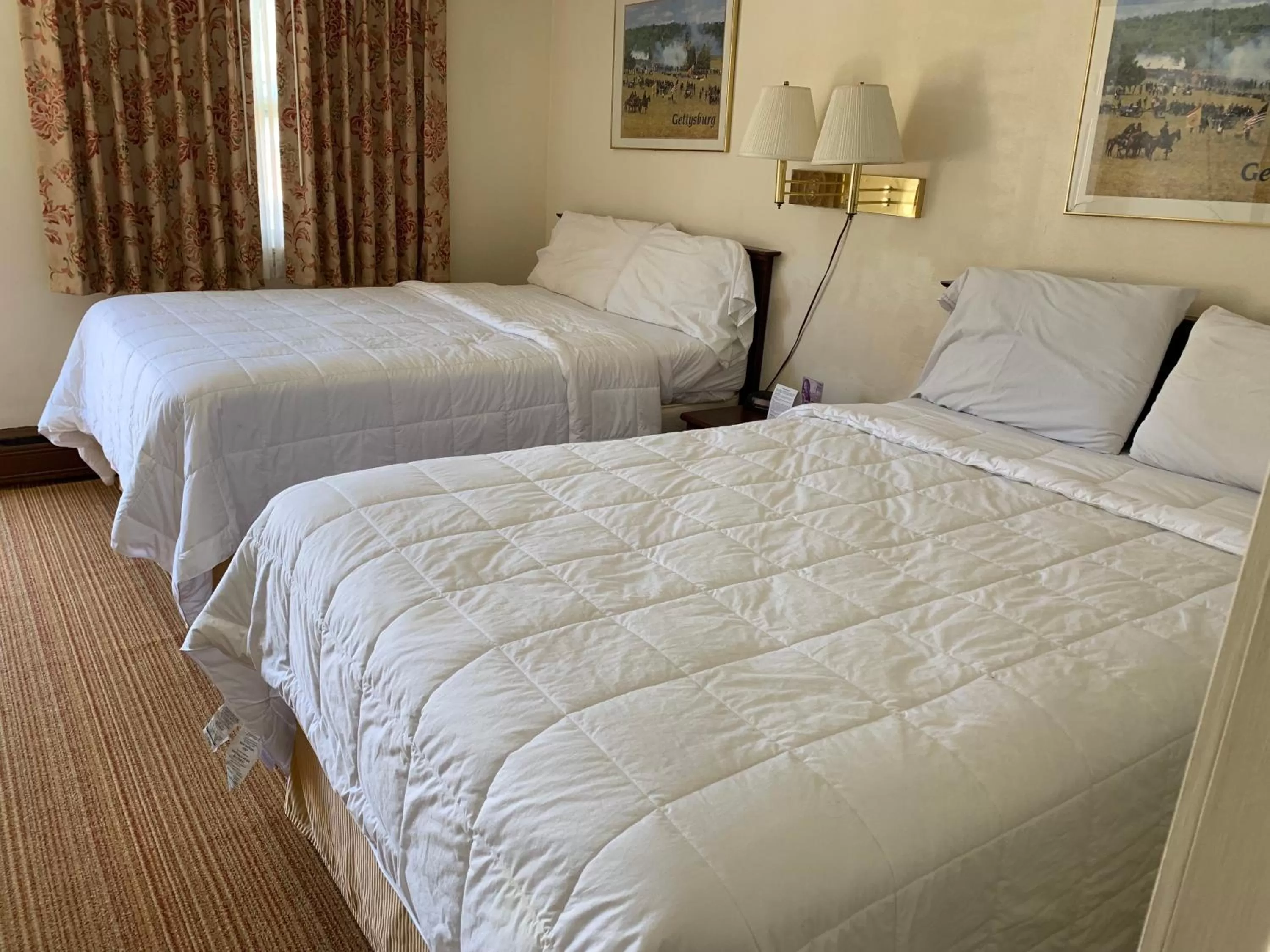 Photo of the whole room, Bed in Red Carpet Inn - Gettysburg