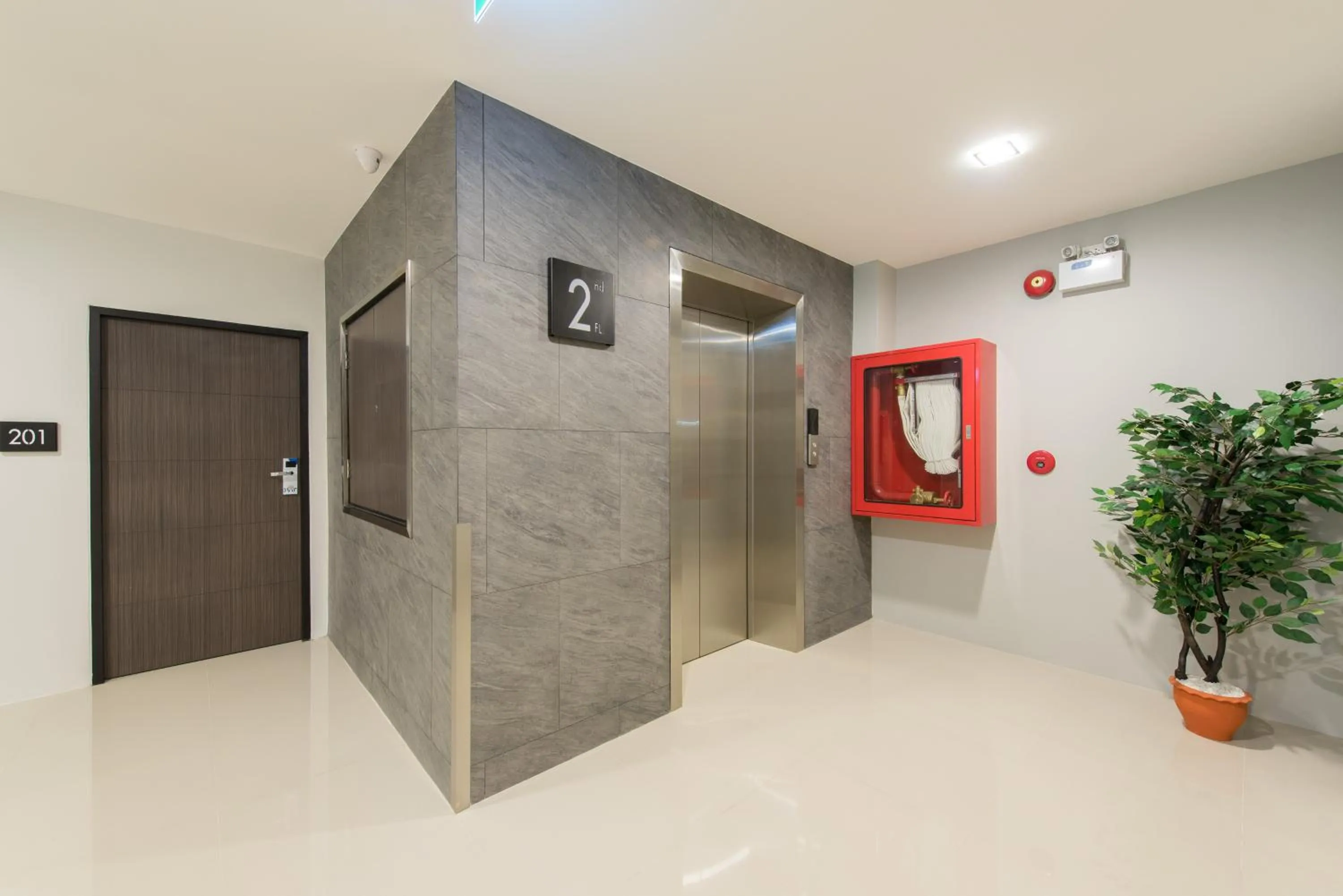 Area and facilities in Nap In Fest