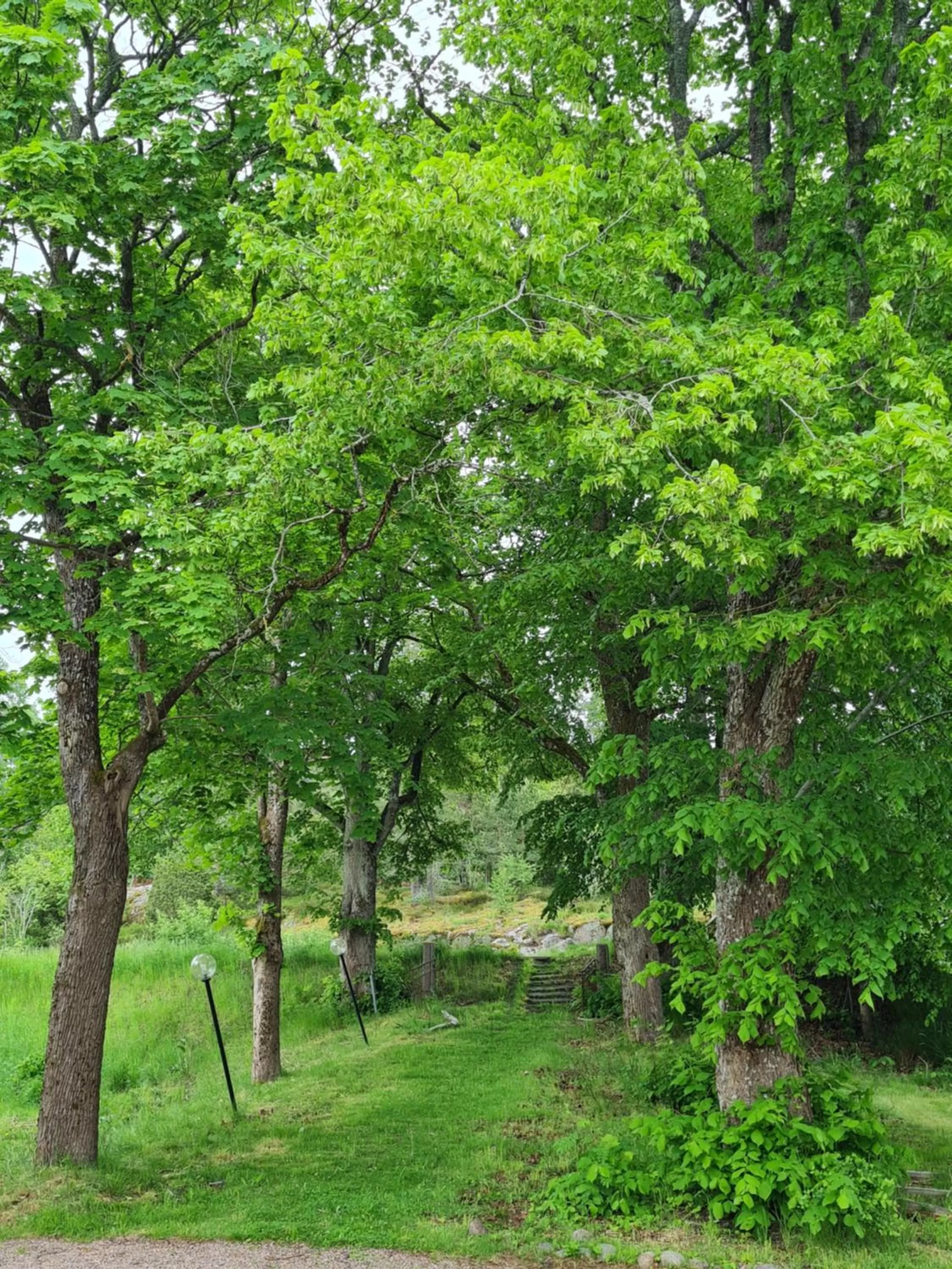 Nya Strandgårdens Wärdshus