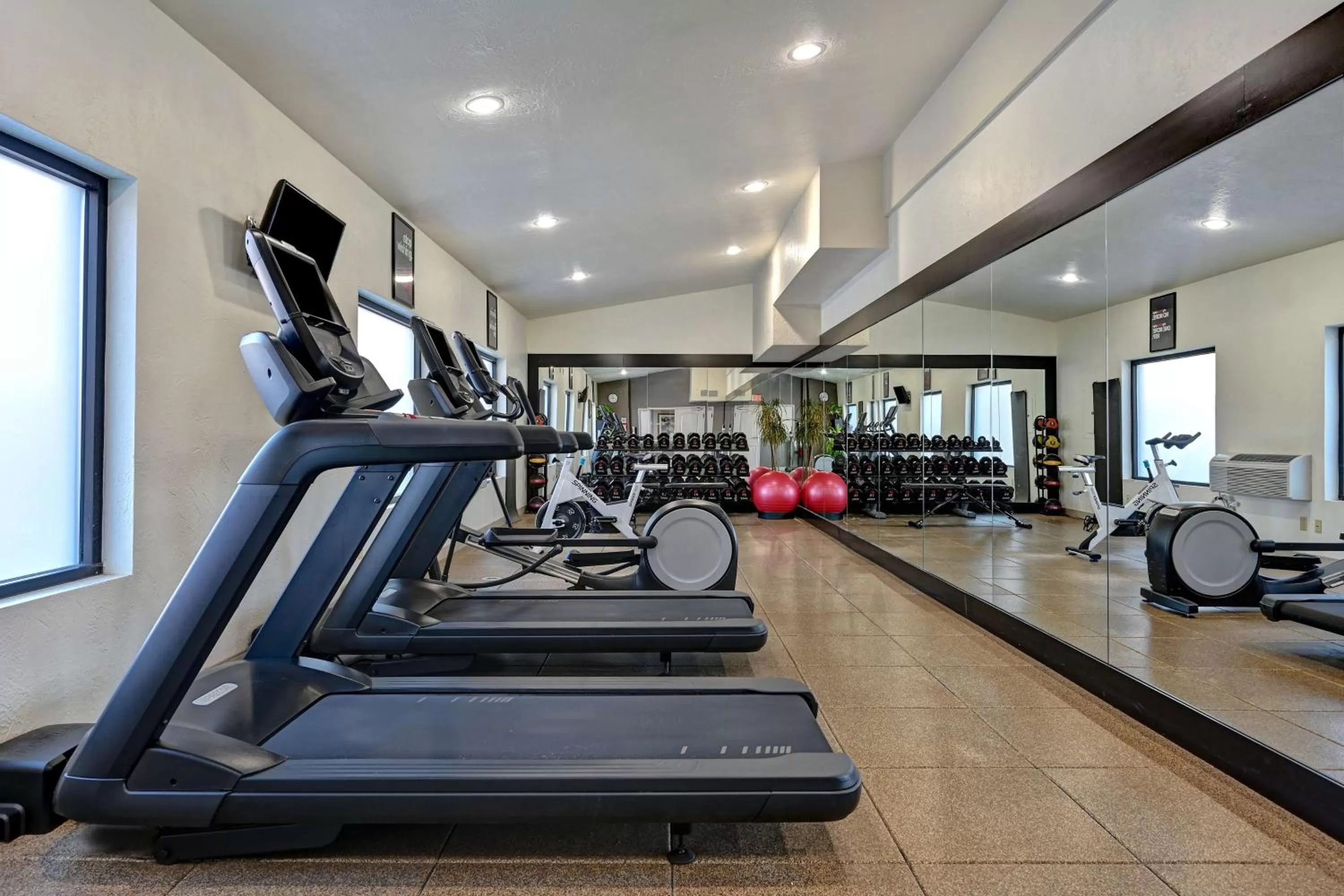 Fitness centre/facilities in Embassy Suites by Hilton Colorado Springs